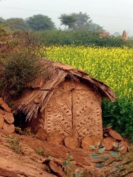 MUSTARD FIELD 2010.JPG