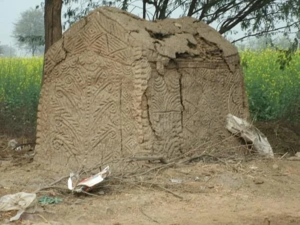 HARYANA INDIA 2010 HOME.JPG