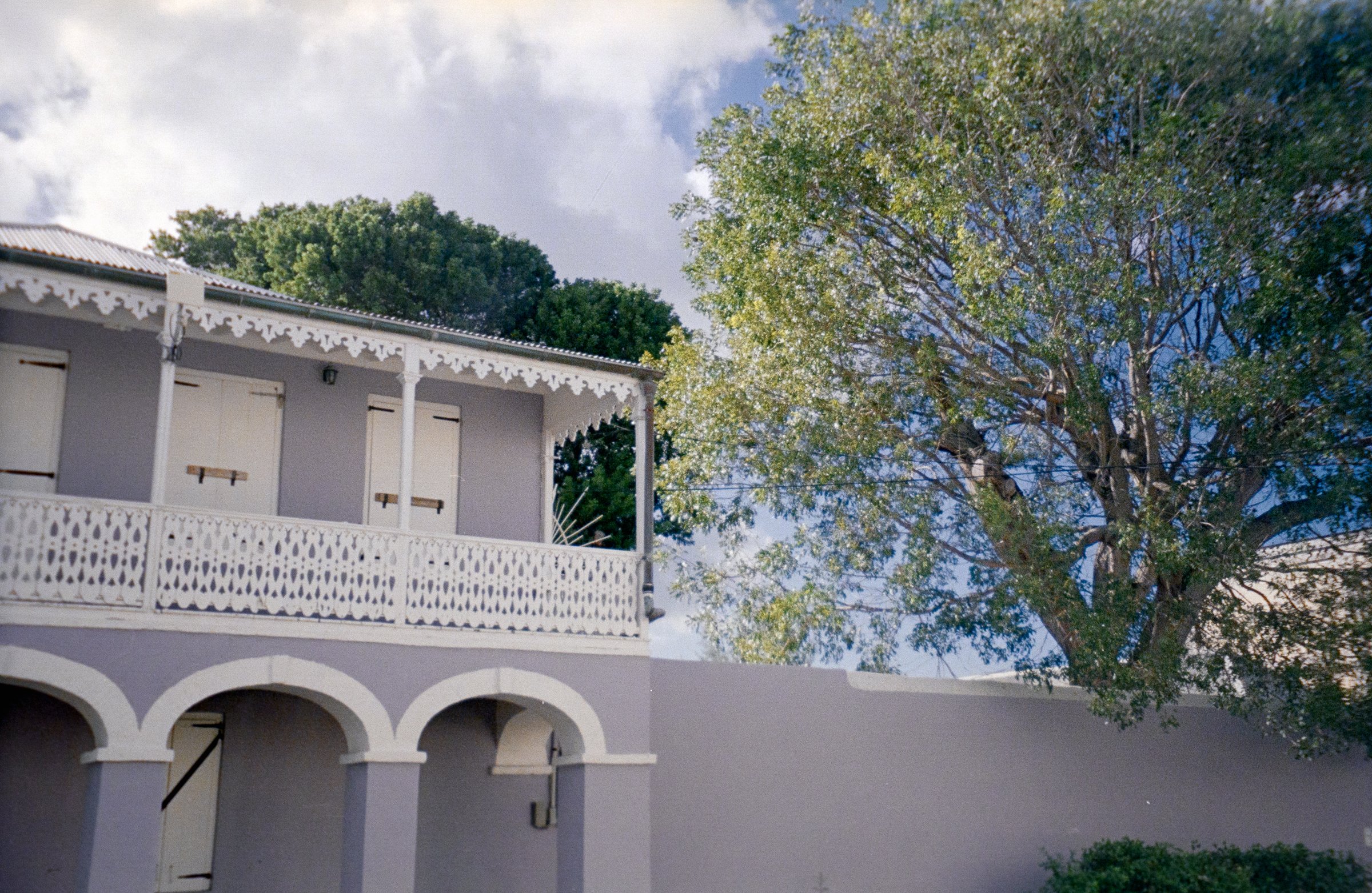the purple house w tree stx 2024.jpg