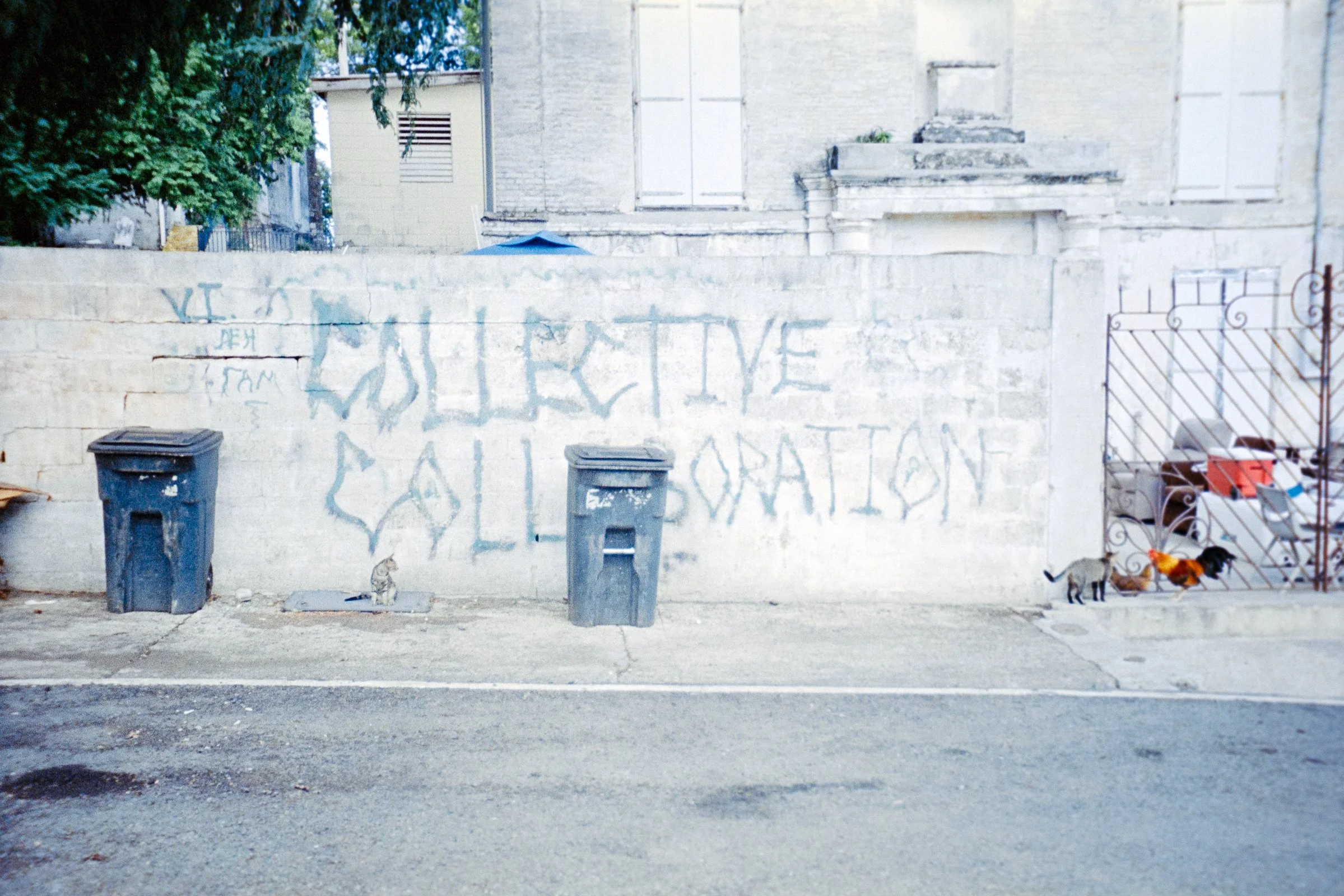 collective collaboration wide stx 2024.jpg