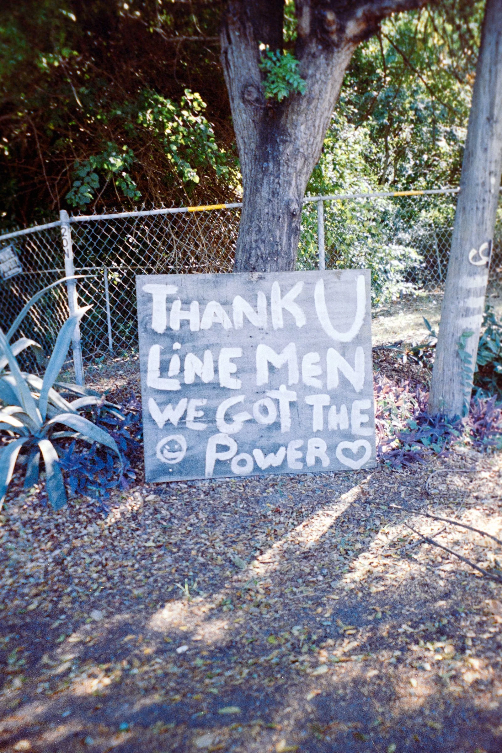 line men stx 2024.jpg