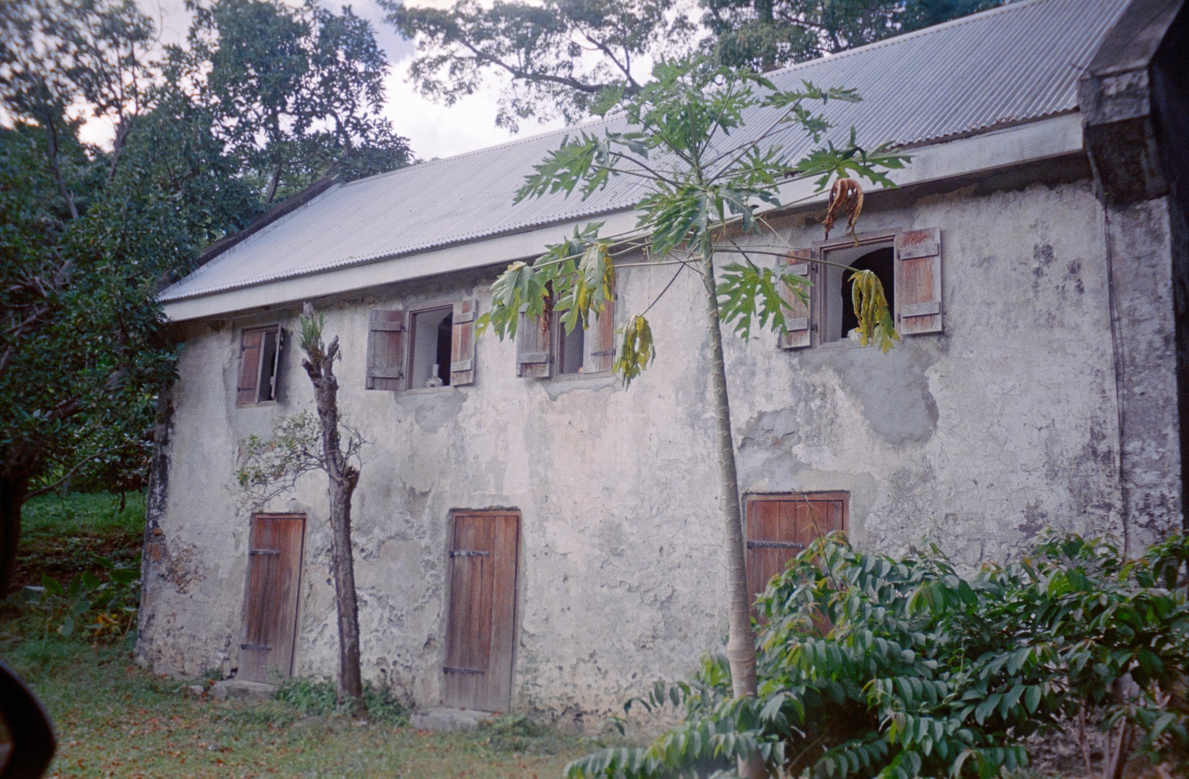 Ruins in the Rainforest