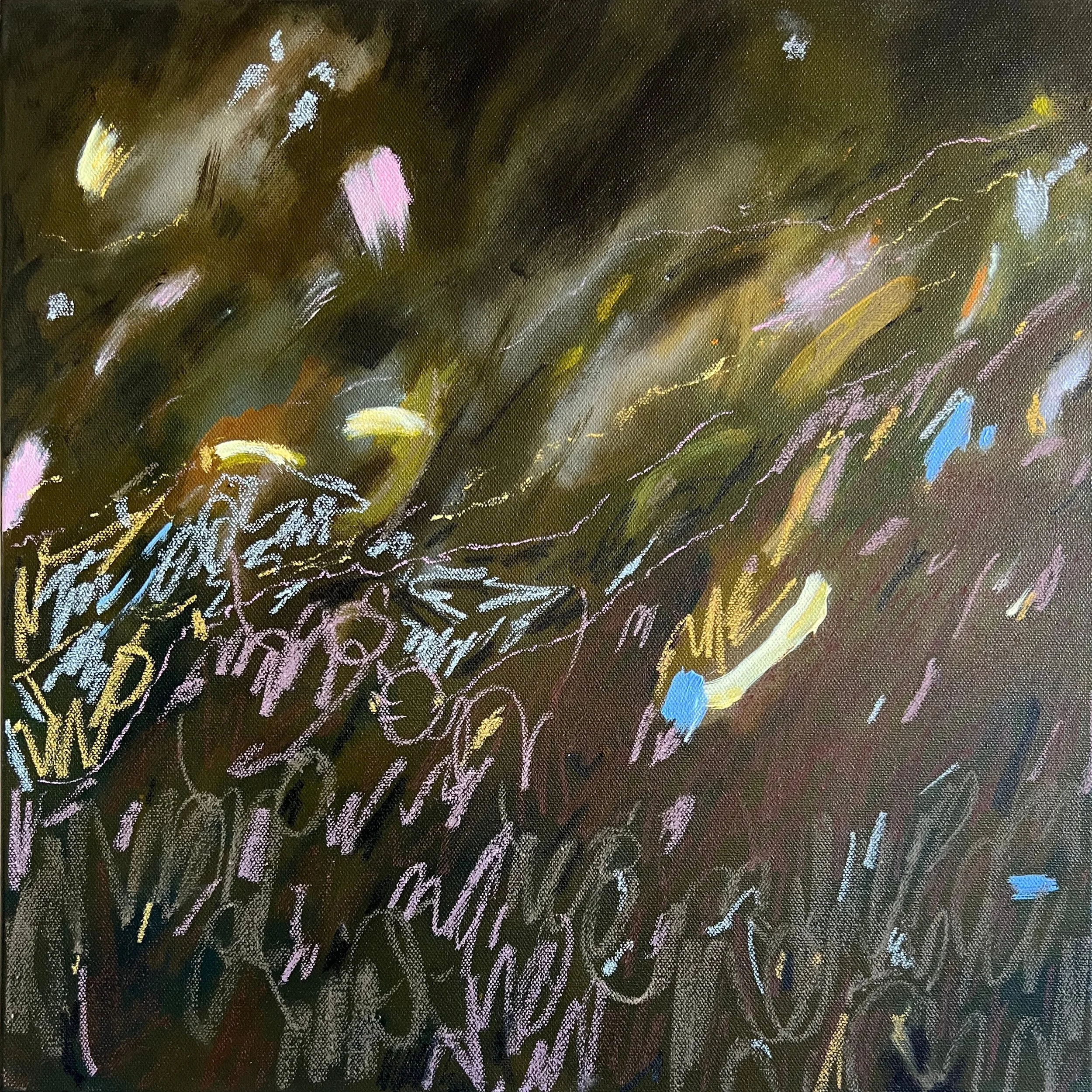 Big galaxy, little paddock