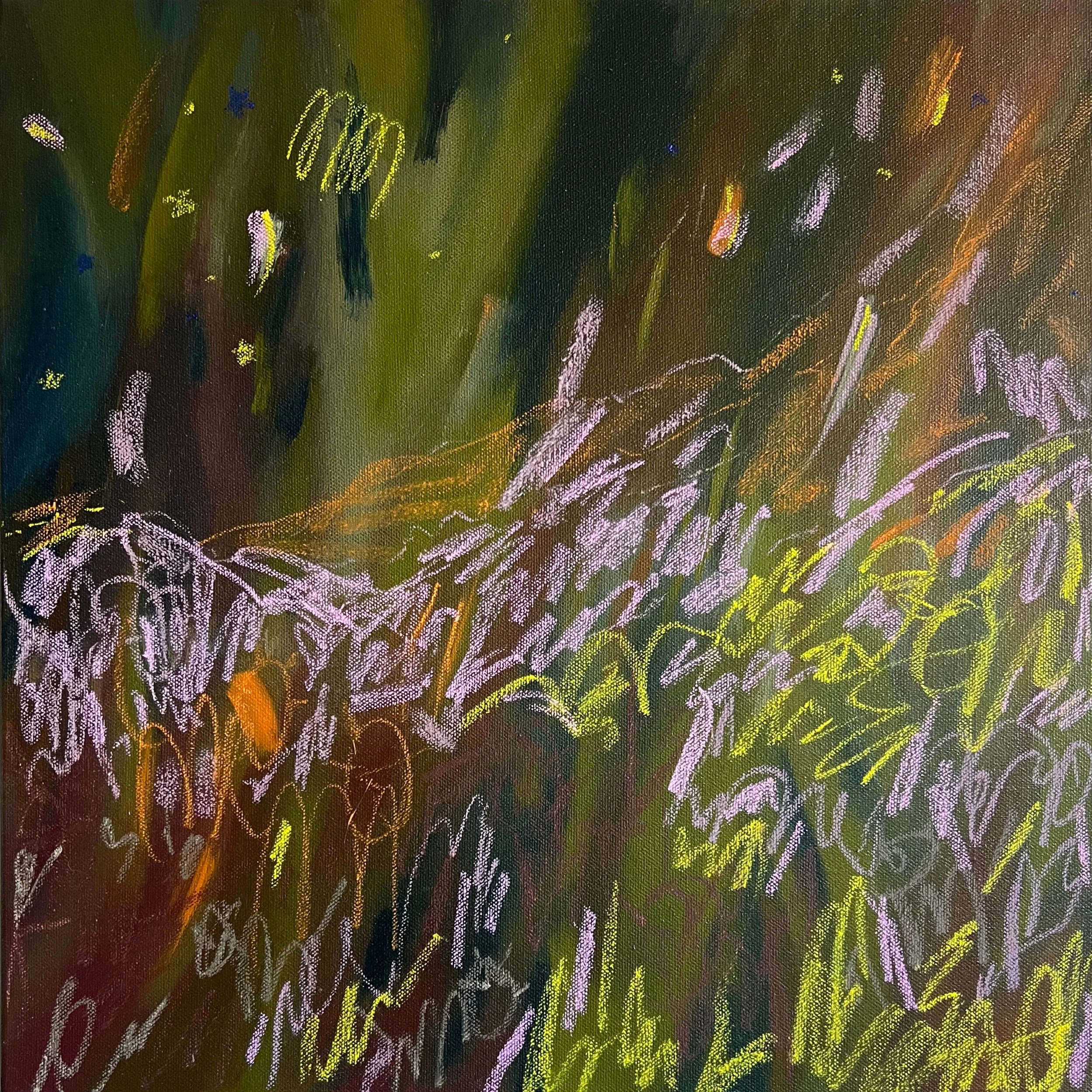 Big galaxy, little paddock II