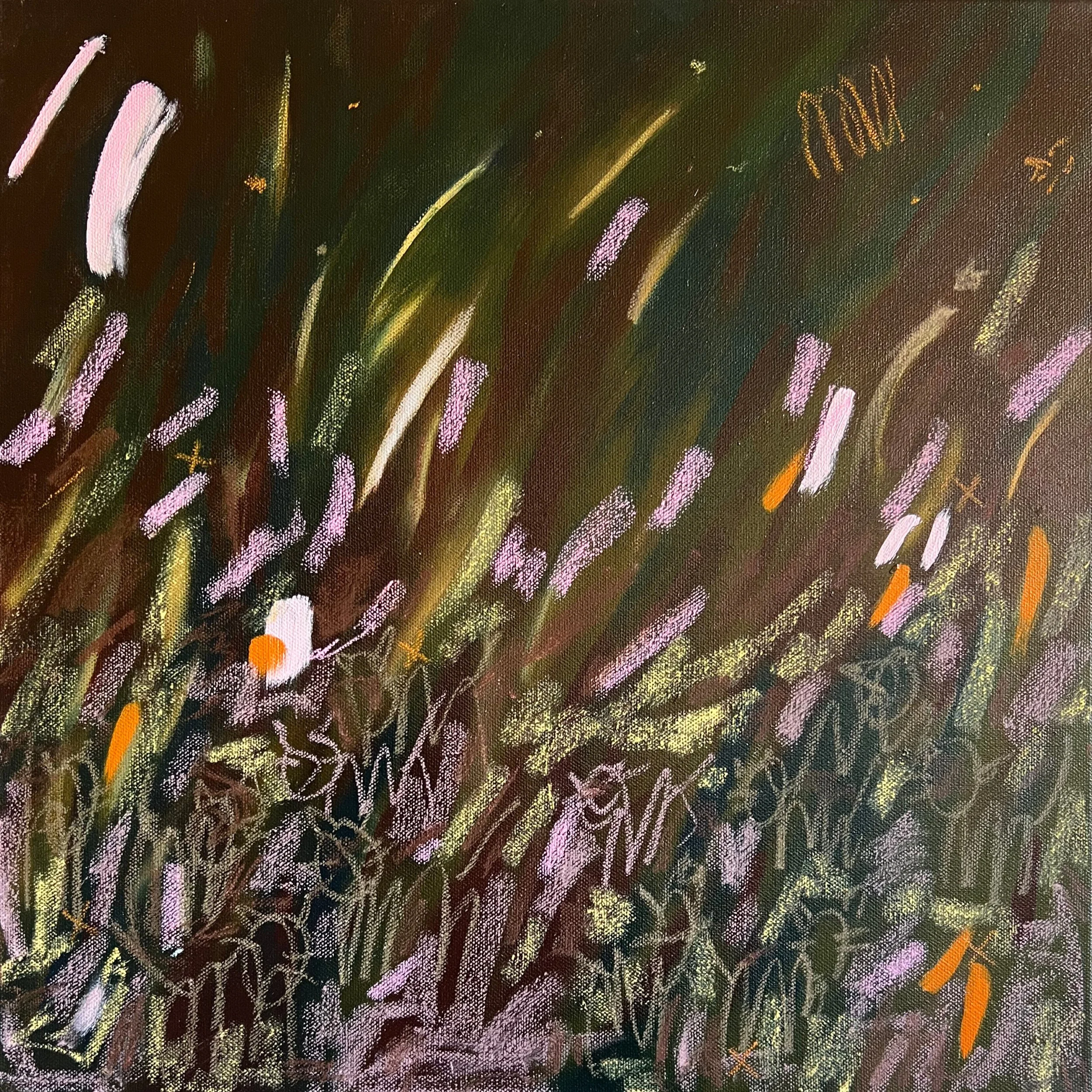 Big galaxy, little paddock III
