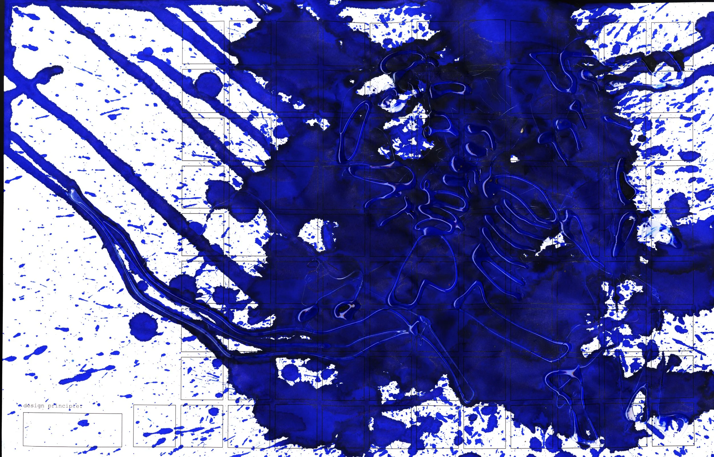 color.jpg