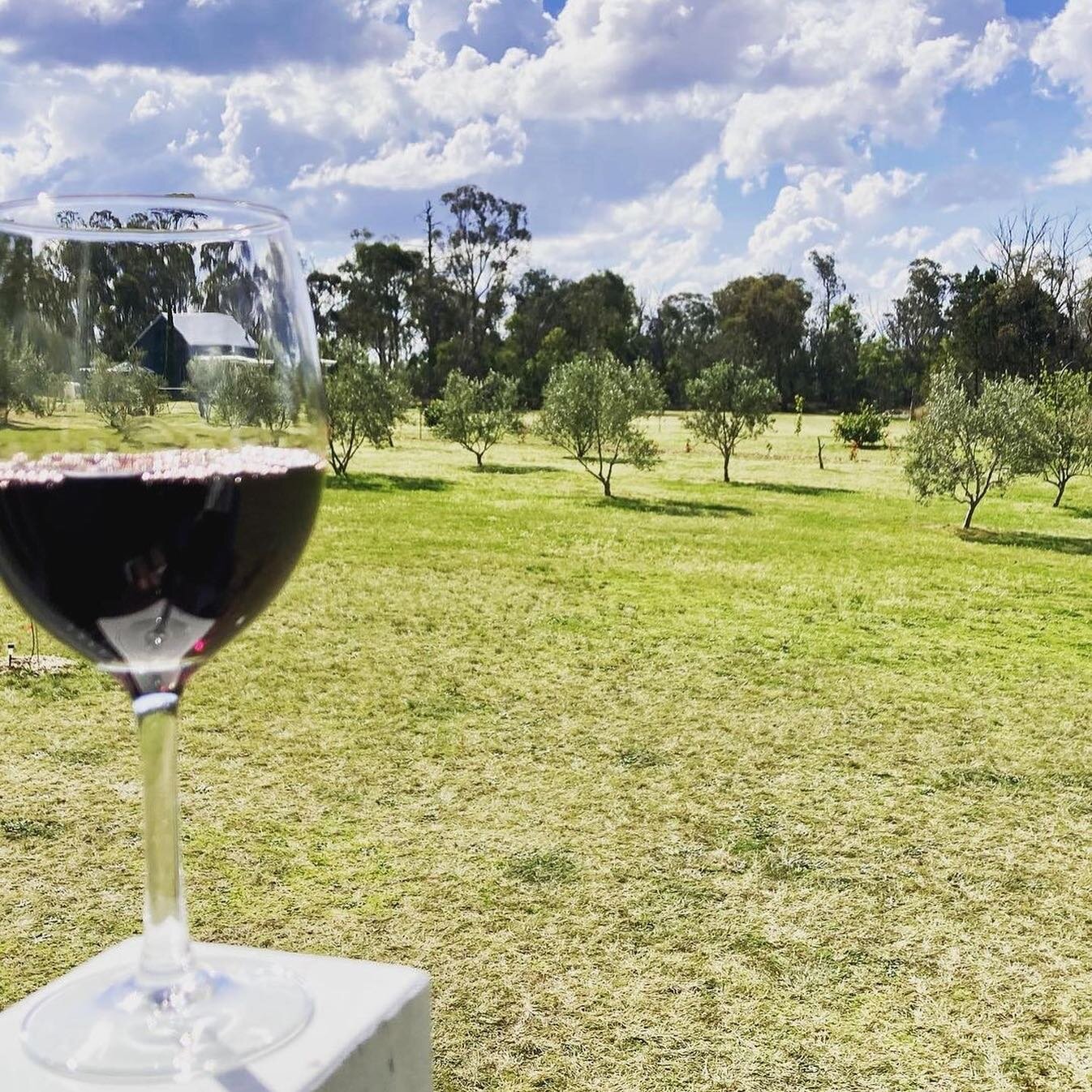 Repost &bull; @johns.cottage Stanthorpe = the best wine 🍇🍷Lovely day exploring the wineries and finding our favourite Merlot @tobinwines I&rsquo;ll bring you one home to try @nickydruery 🍾🍷🤗

#winetour #winecountry #merlot #granitebelt #holiday