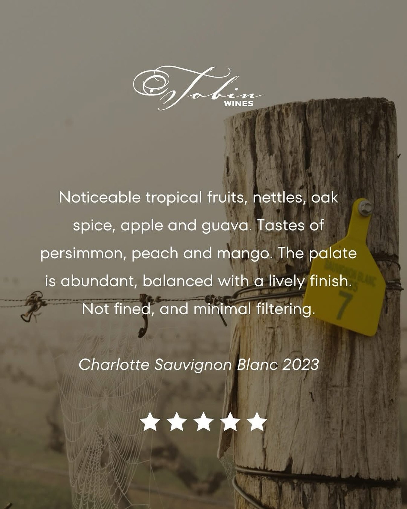 Our Charlotte Sauvignon Blanc is quietly shaped by time in oak, bringing subtle complexity to this much-loved variety. On the nose, gentle notes of tropical fruit, a touch of nettles, oak spice, apple, and guava come together.

The palate is soft and