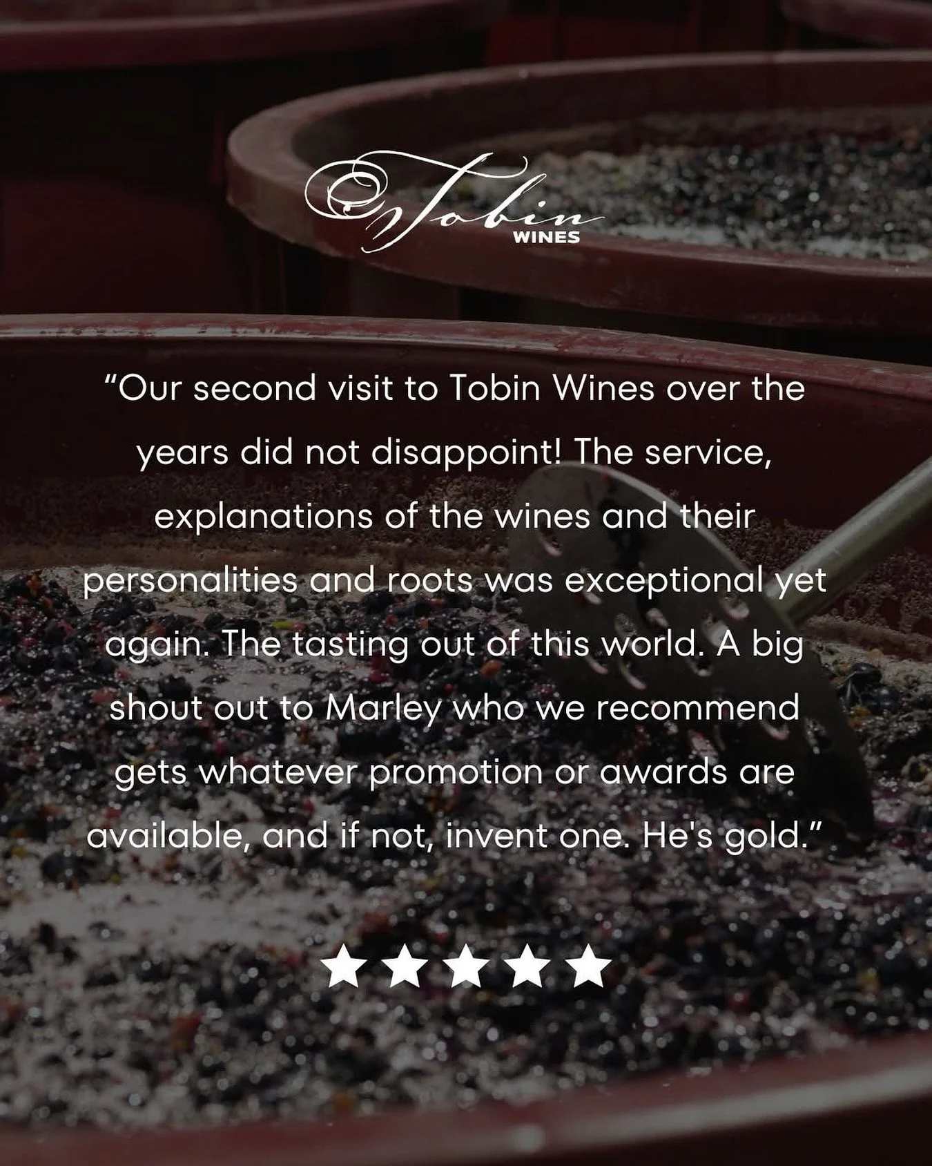 We recently received a glowing review that spoke very highly of our team member Marley&hellip; almost too highly. We&rsquo;re starting to wonder if Marley wrote it himself. 😉🍷

Either way, we couldn&rsquo;t agree more &mdash; he&rsquo;s a star.

#T