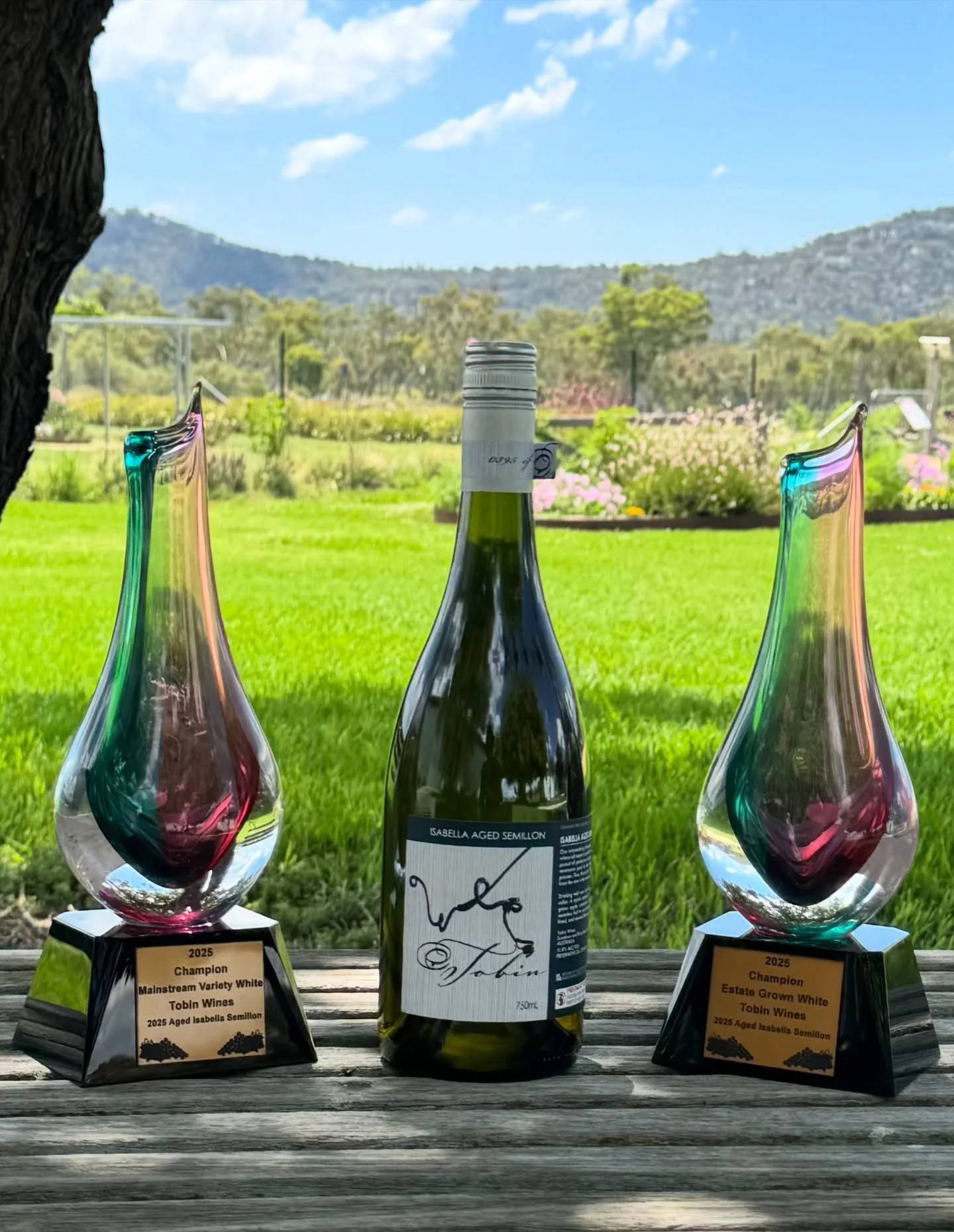 We&rsquo;re thrilled to share that our Aged Isabella Semillon 2025 has taken home two major honours at the 2025 QLD Wine Awards 🏆✨

🏆 Champion Mainstream Variety White
🏆 Champion Estate Grown White

A proud moment for our small team &mdash; and a 