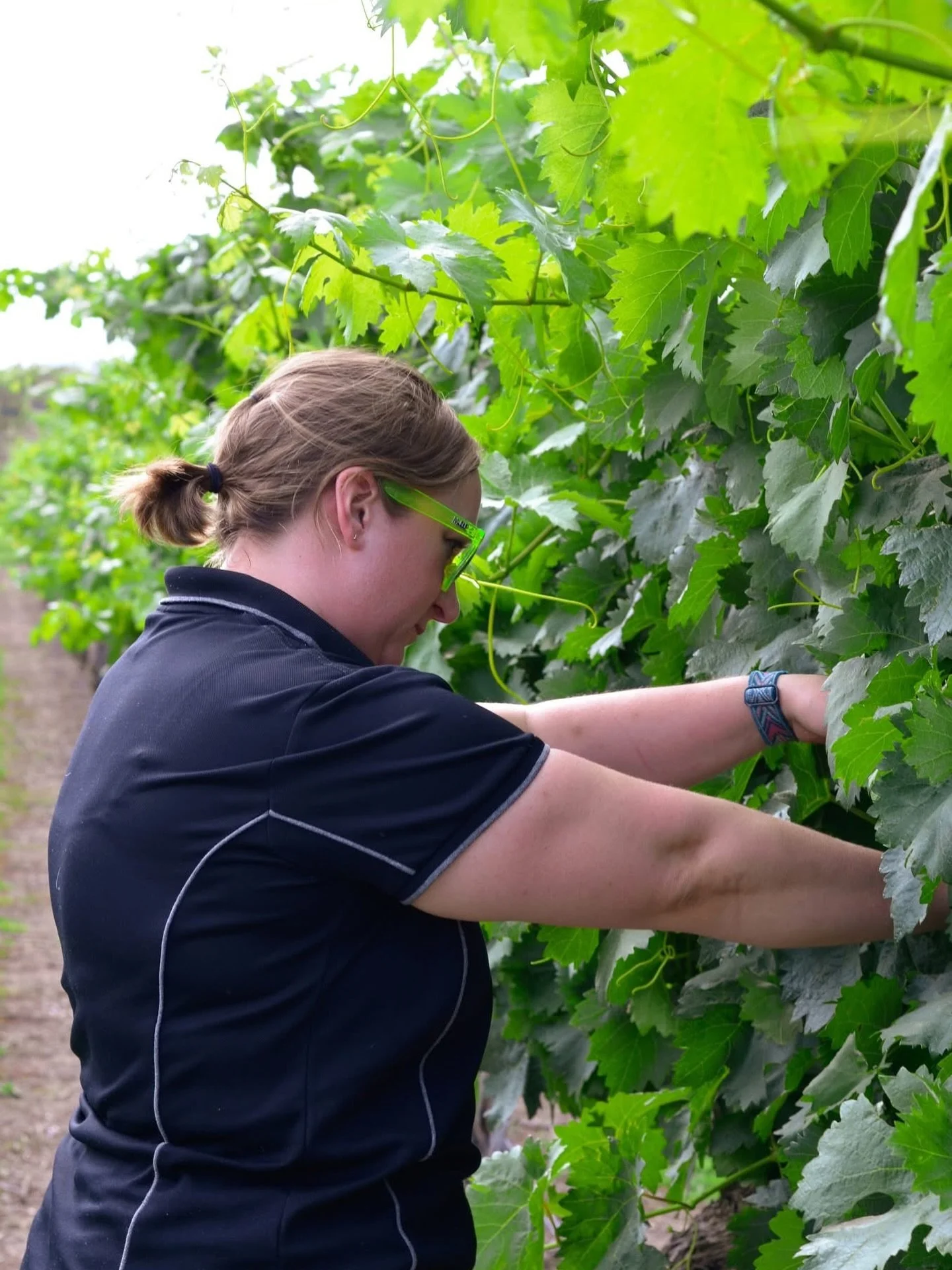 There&rsquo;s a new face at the cellar door&hellip; 👋🍷
Meet Brandi &mdash; the newest member of the Tobin Wines family.

You&rsquo;ll be seeing more of her over the coming months as she settles into the rhythm of vineyard life and gets to know all 