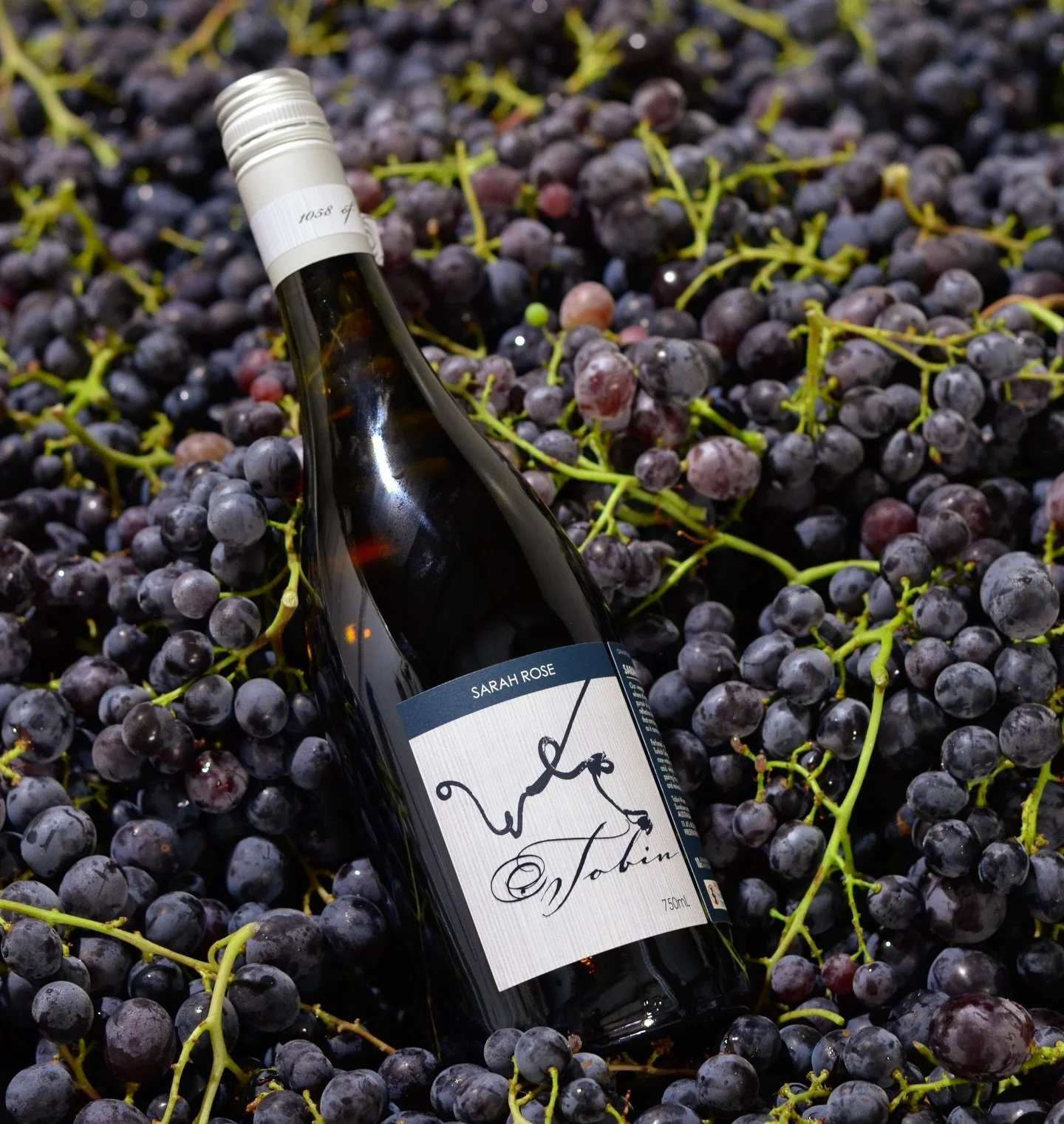 We were lucky enough to go behind the scenes with Marley, getting a front-row view of the very first steps after picking the Sarah Rose 🍇✨

After harvest and first crush, the grapes are left resting on their skins &mdash; an important early stage wh