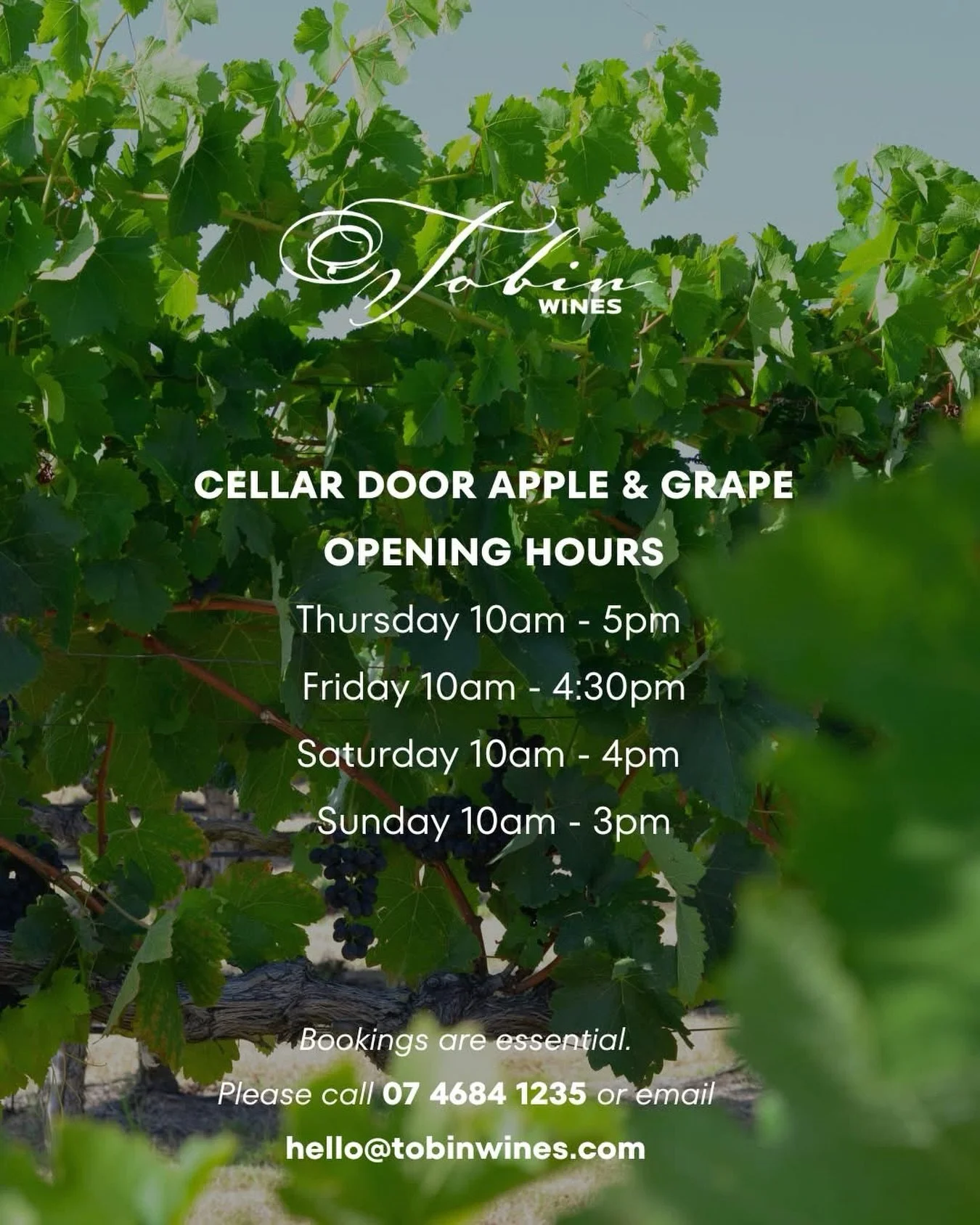 Apple &amp; Grape Festival Weekend at Tobin 🍷

If we don&rsquo;t see you at the Food &amp; Wine Fiesta in Weeroona Park, we&rsquo;d love to welcome you at the Cellar Door instead.

Here are our Apple &amp; Grape weekend opening hours:

Thursday: 10a