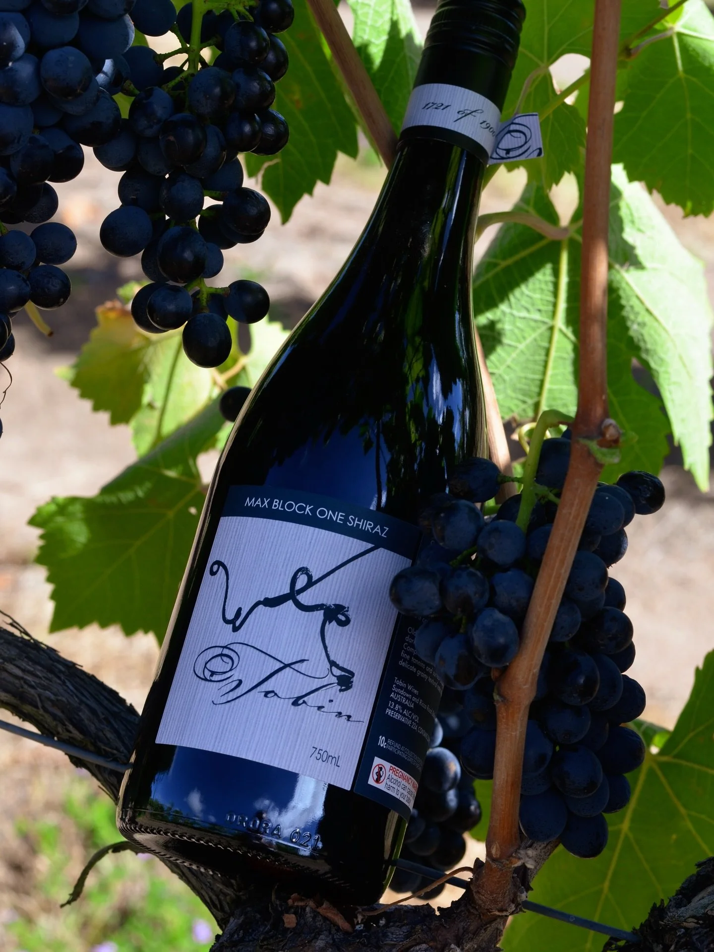 If only we could pick the bottle straight off the vine.

Until then, the journey continues.
Max Block 1 Shiraz. 🍷