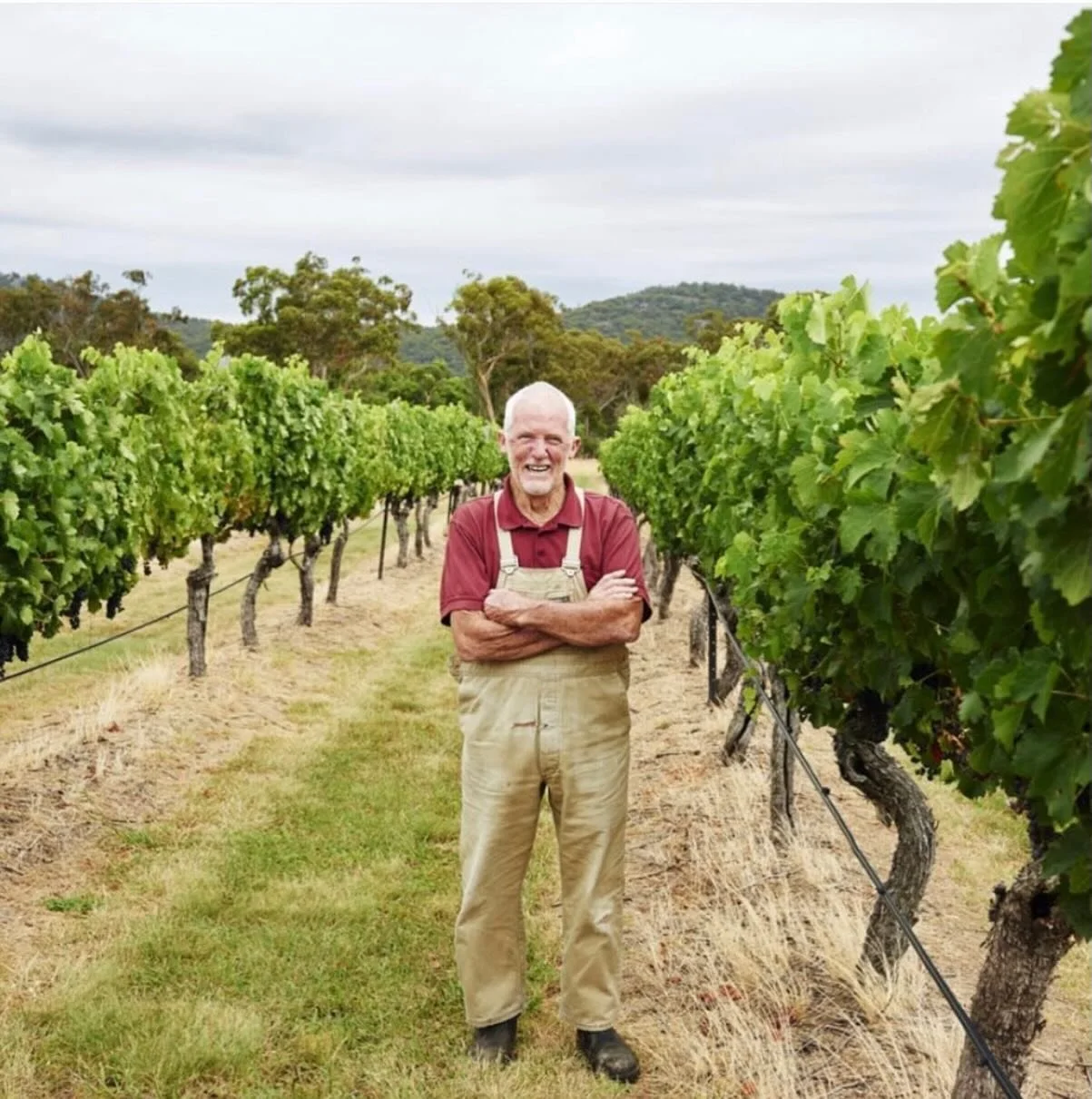 Today, we share an important moment in the story of Adrian Tobin and&nbsp;Tobin Wines.

With the recent passing of Adrian, and after much reflection on Adrian and his legacy, we have made the decision to pass the day-to-day operations of Tobin Wines 