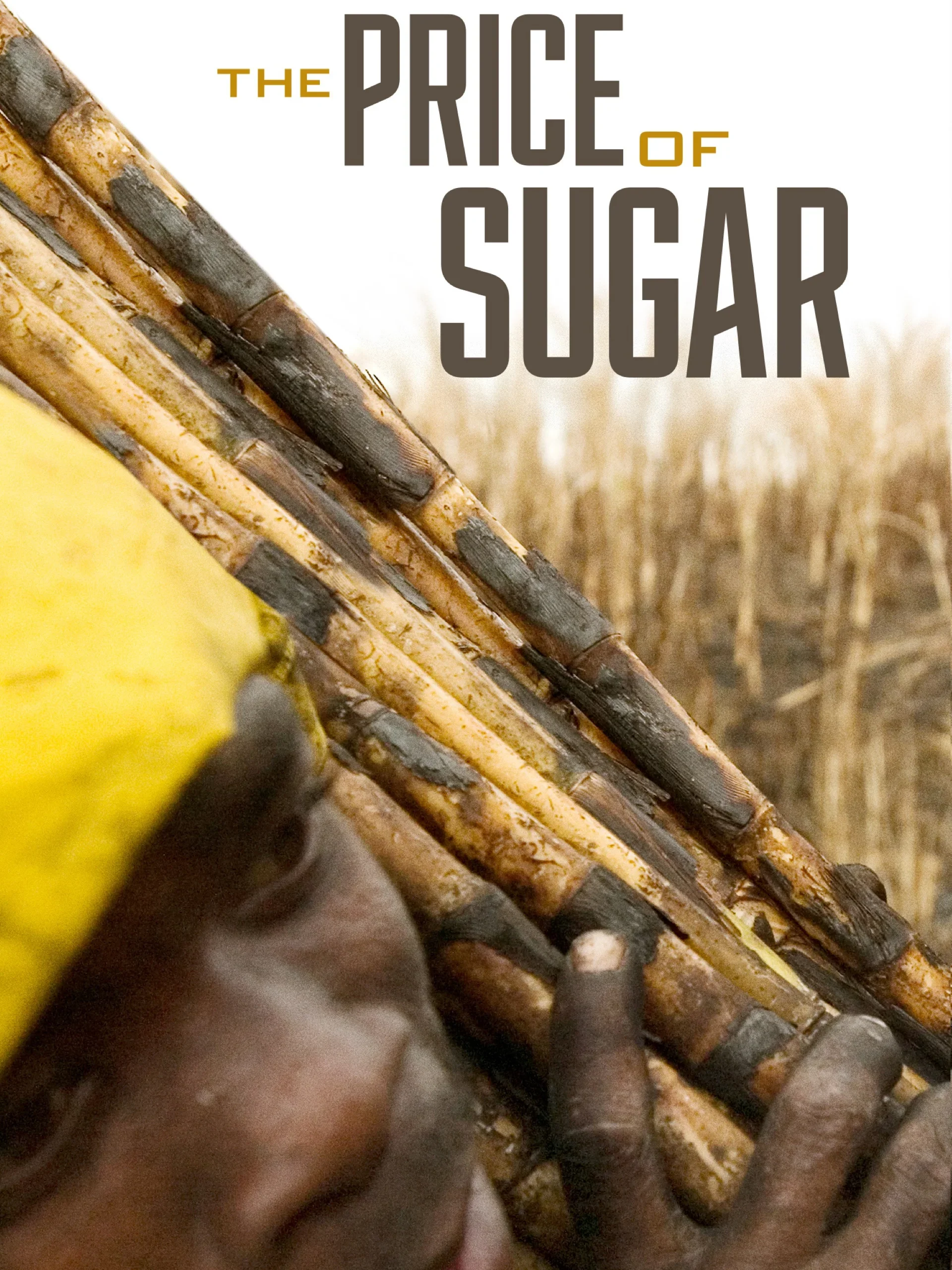 Price Of Sugar Documentary