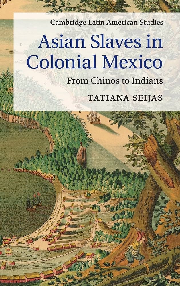 Asian Slaves in Colonial Mexico.jpg
