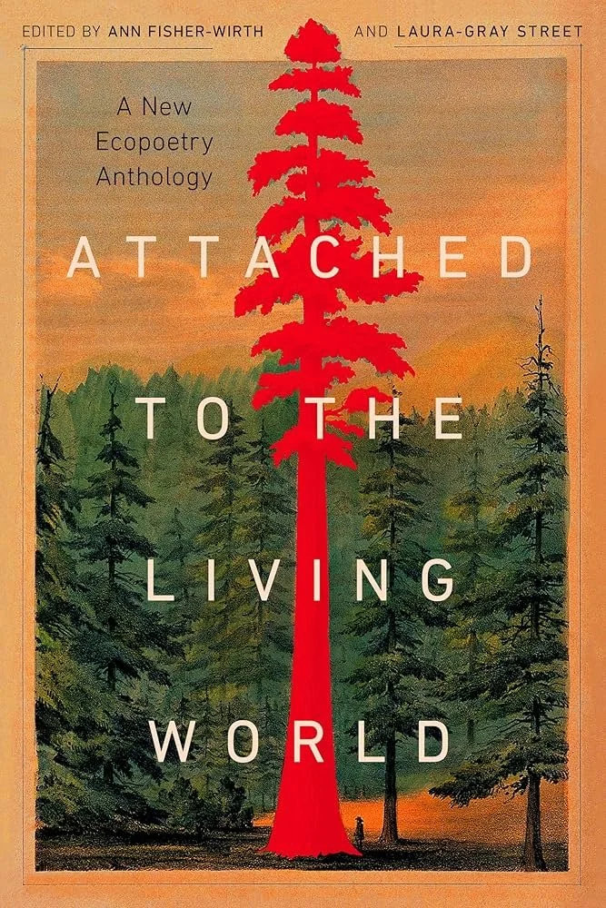 Attached to the Living World.jpg