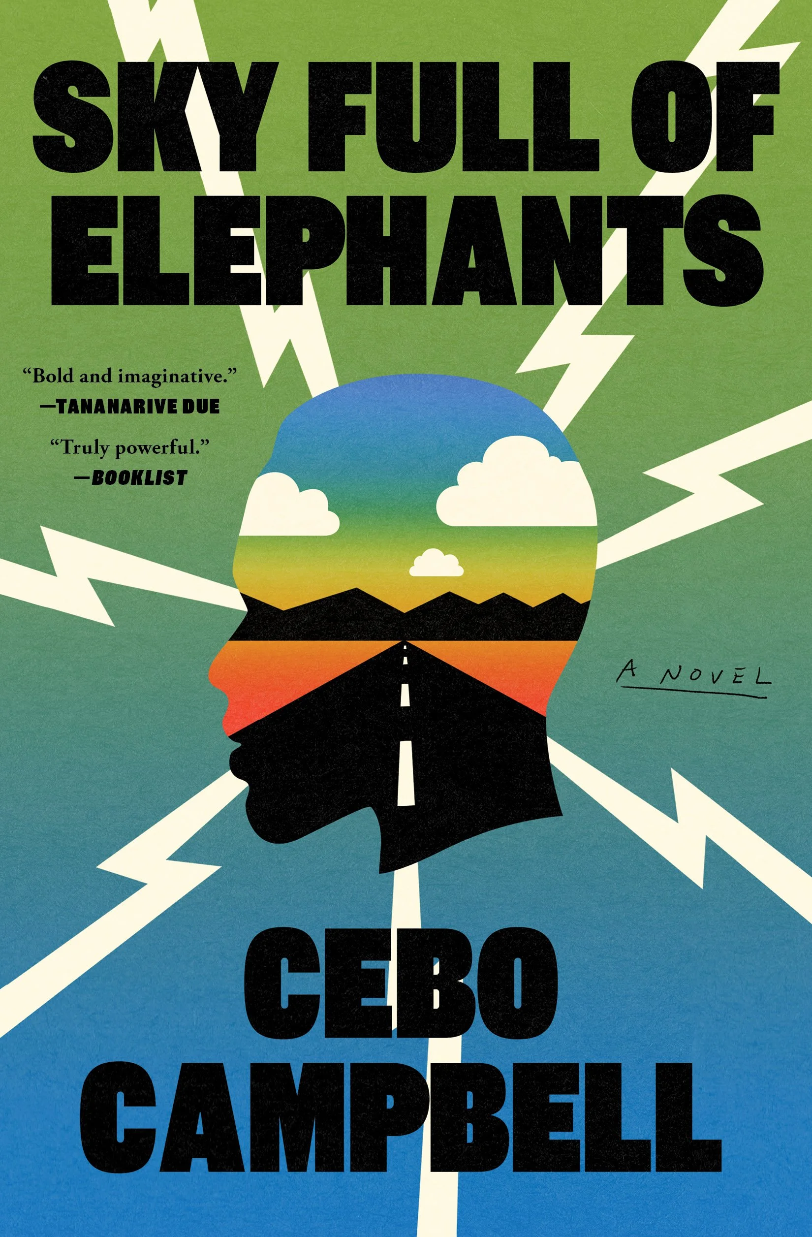 sky-full-of-elephants-9781668034934_hr.jpg