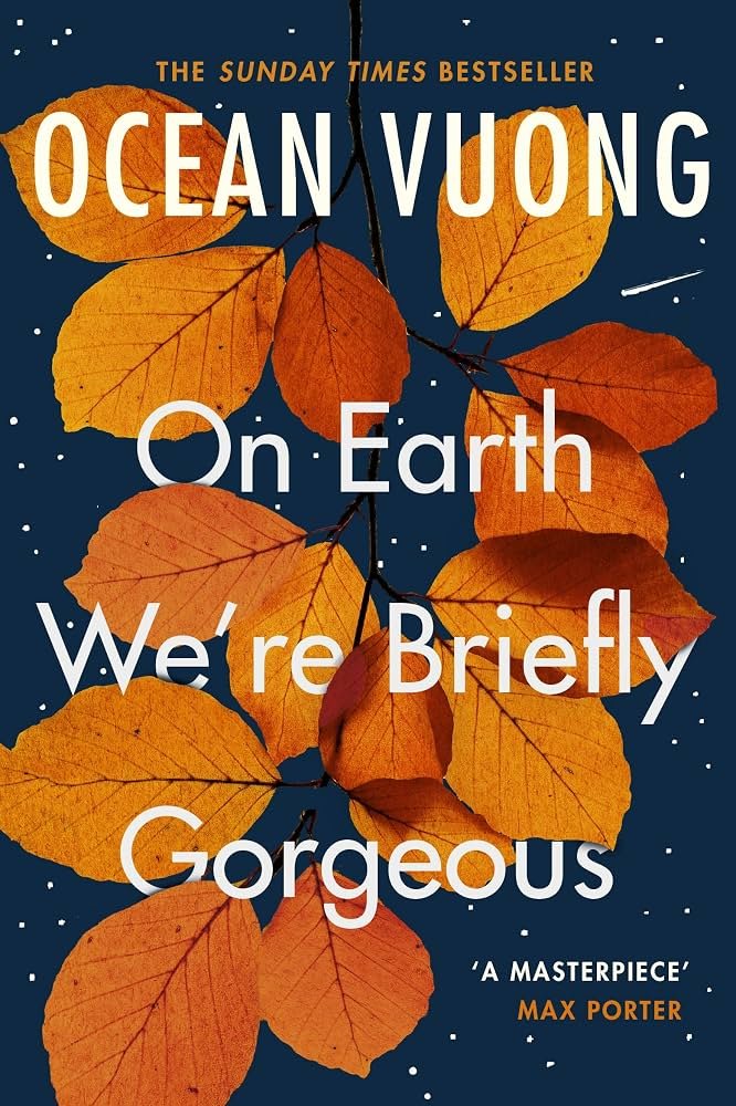 On Earth We’re Briefly Gorgeous.jpg