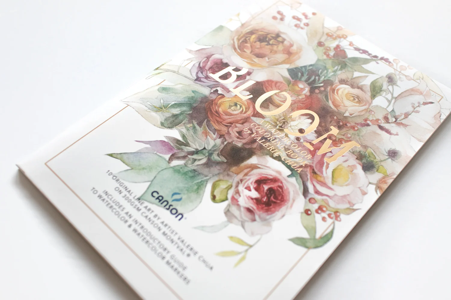 Bloom_Cover2_s.jpg