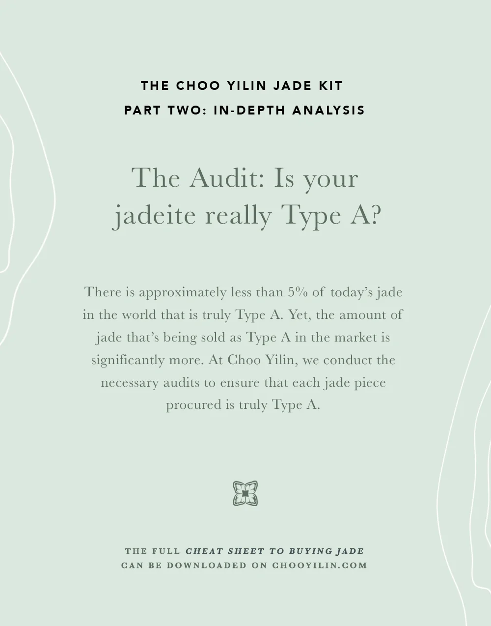 PART2-theaudit.jpg