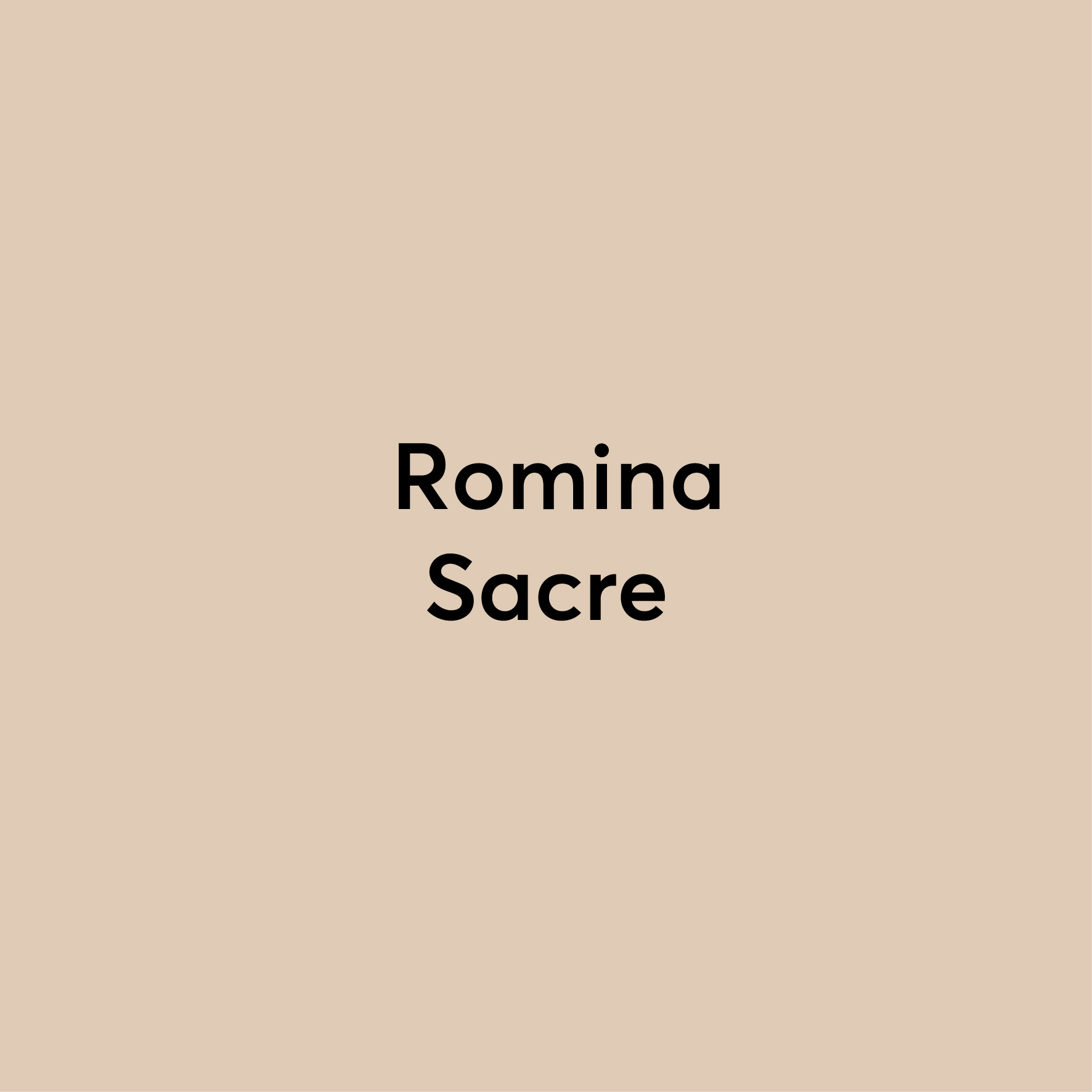 SRD–DIRECTORIO-94.jpg