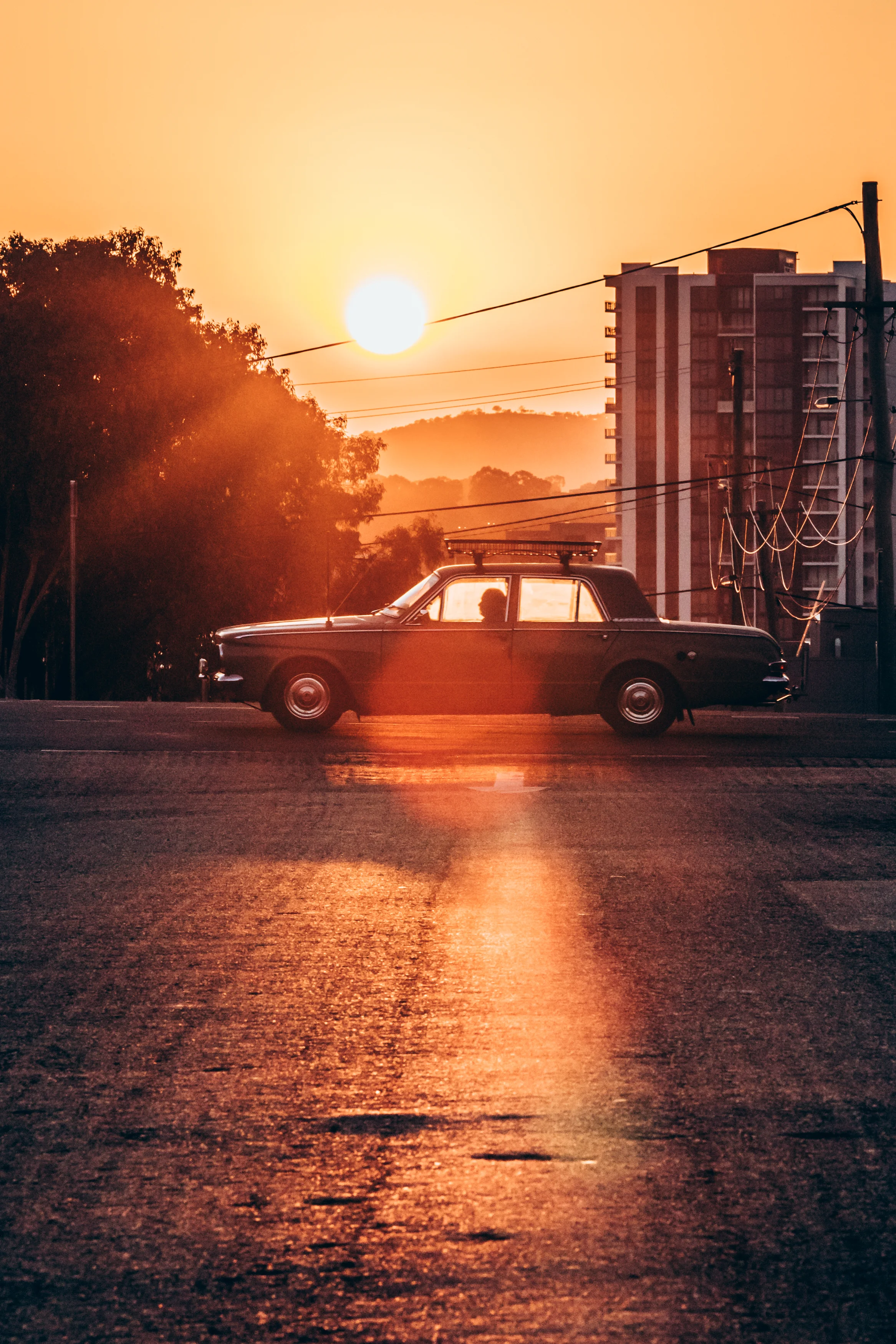 Suncar-1.jpg