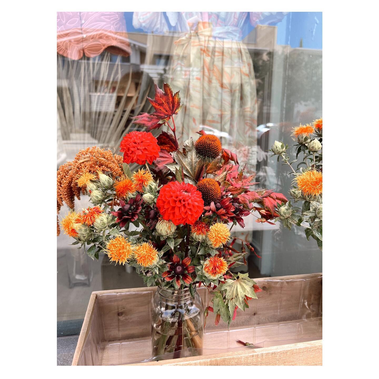 Feeling fall with the flowers at the shop ~ our first time offering pre-arranged bouquets in a country mason jar. 
We&rsquo;re open Saturday 12-6 and Sunday 11-4 🤎🍂
