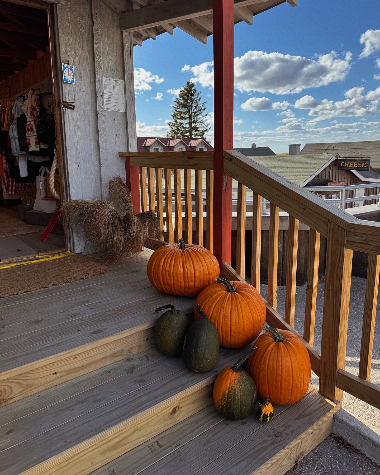 Fall in Fishtown 🍂🍁🧸🥮🍄&zwj;🟫🥧🤎