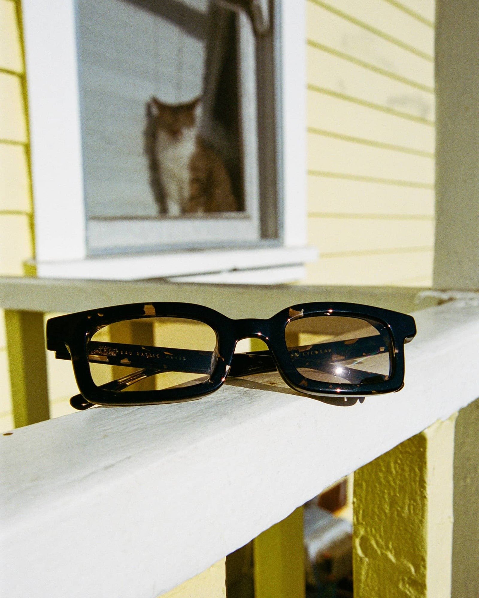 Crap_Eyewear-2024_Spring-Lookboo6.jpg