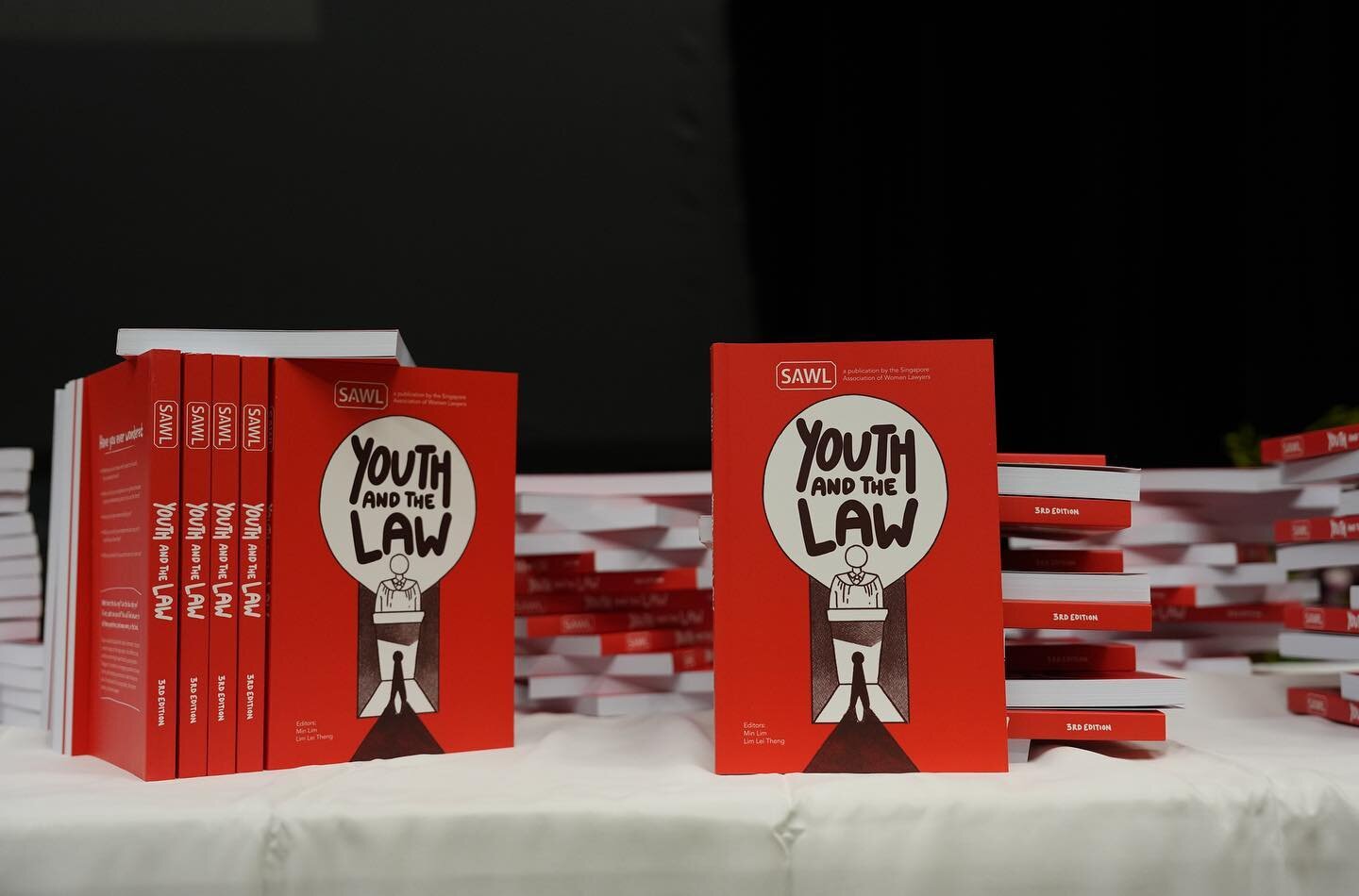 Launch of SAWL&rsquo;s book &ldquo;Youth and the Law&rsquo; this afternoon. #SAWL