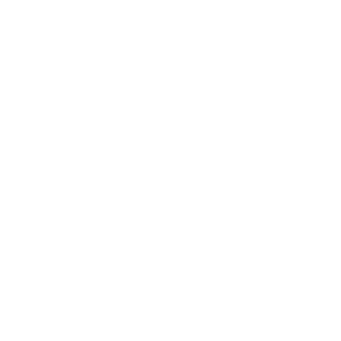 bsa icon holistic.png