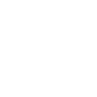 bsa icon agile.png