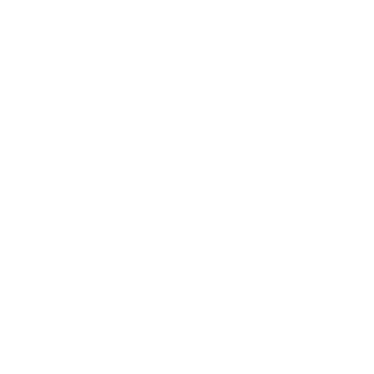 bsa icon partizipative.png