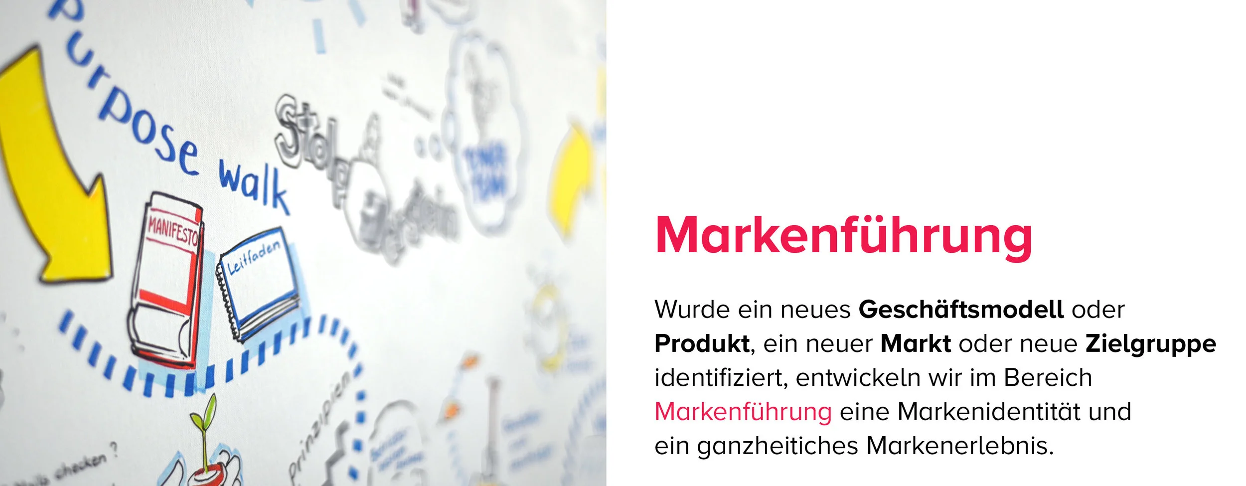 actionfield markenfuehrung.jpg