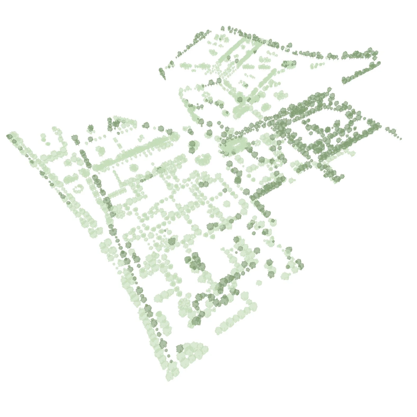  Bepflanzung bestehend und neu 