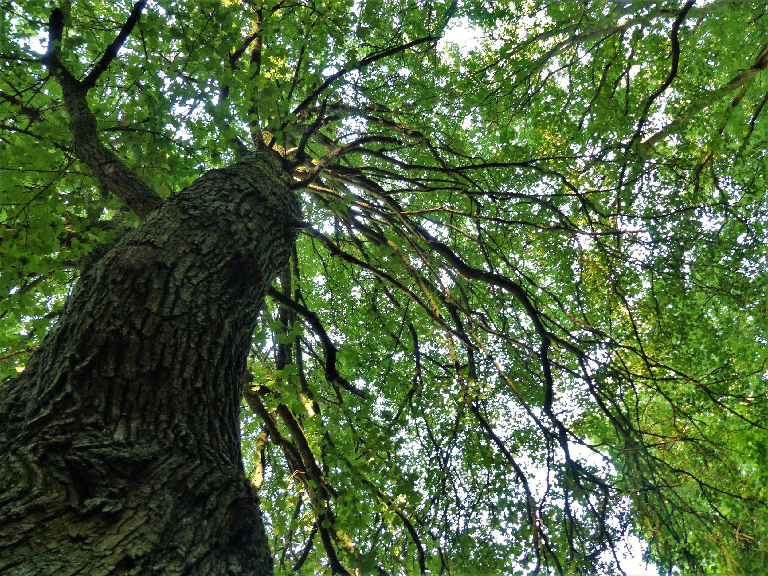 Workshop „Kulturraum Natur” 