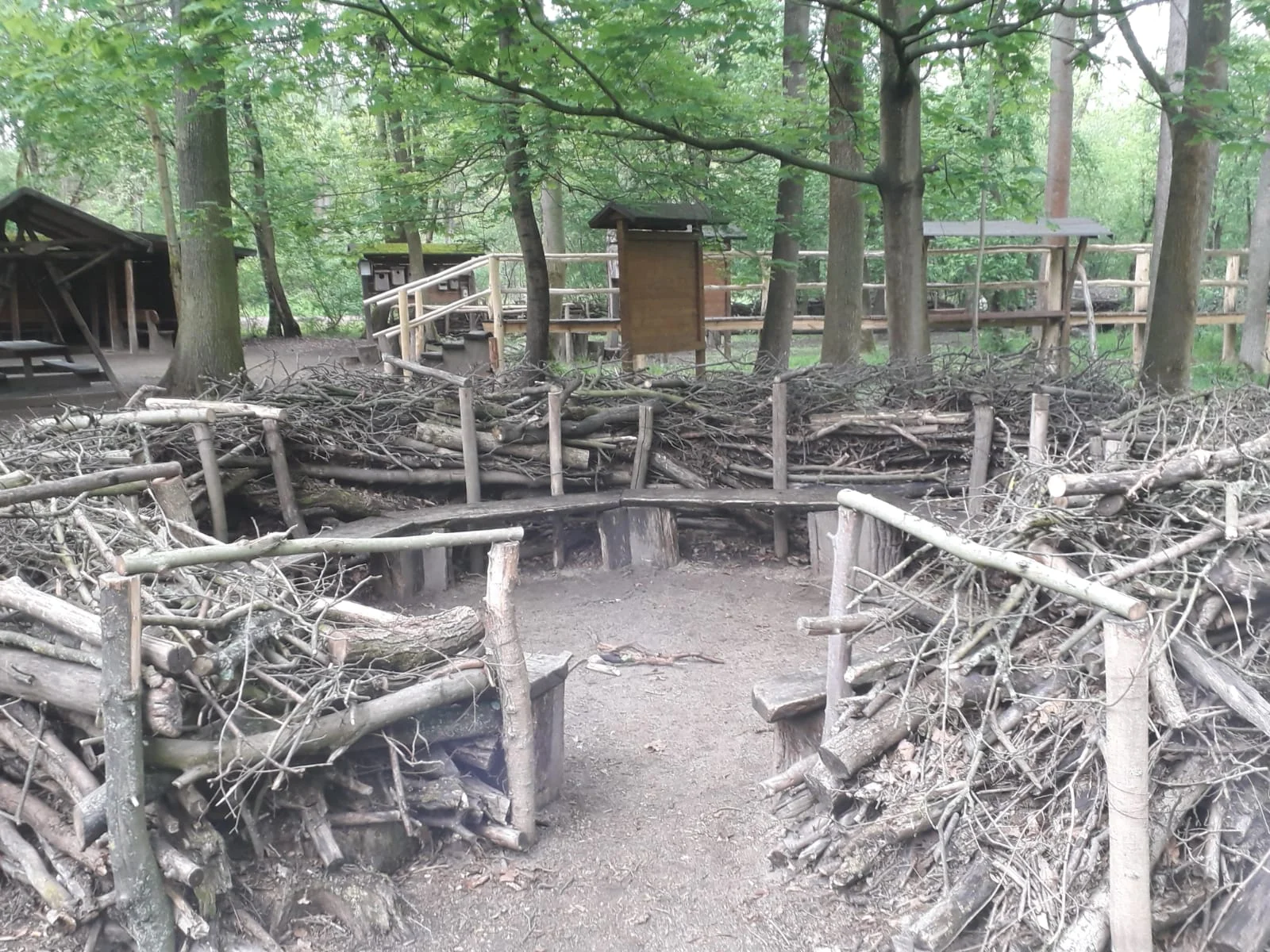 Groß-Nest-Bau-Aktion / Ein Horst für Seiferdorf