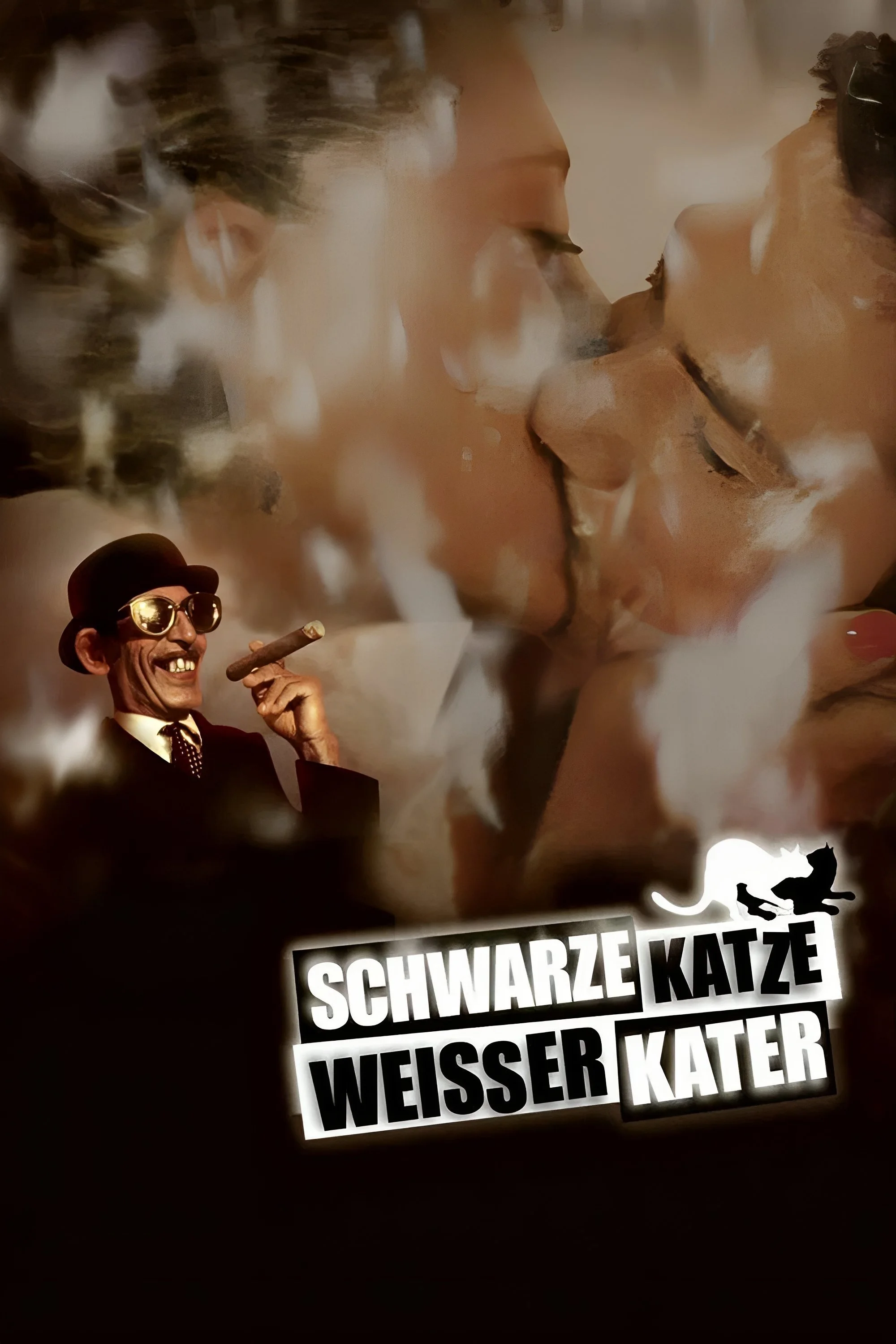 HAFENKINO: SCHWARZE KATZE • WEIßER KATER