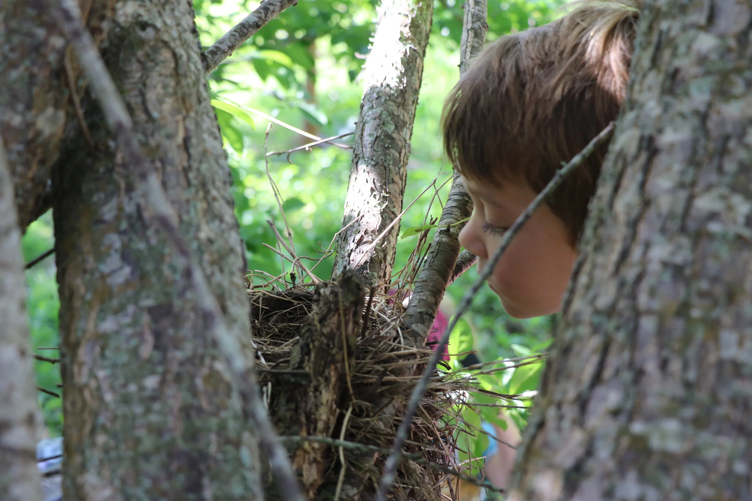 © Athenree Montessori 2018.