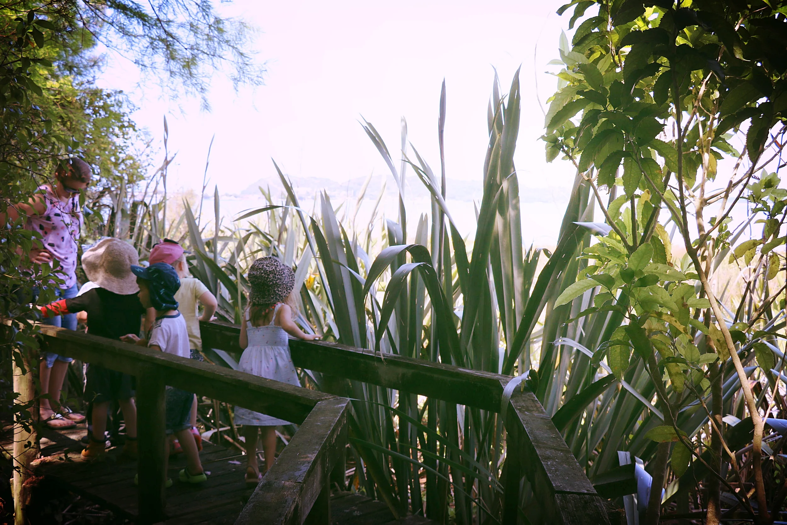 A bush walk with a beach view