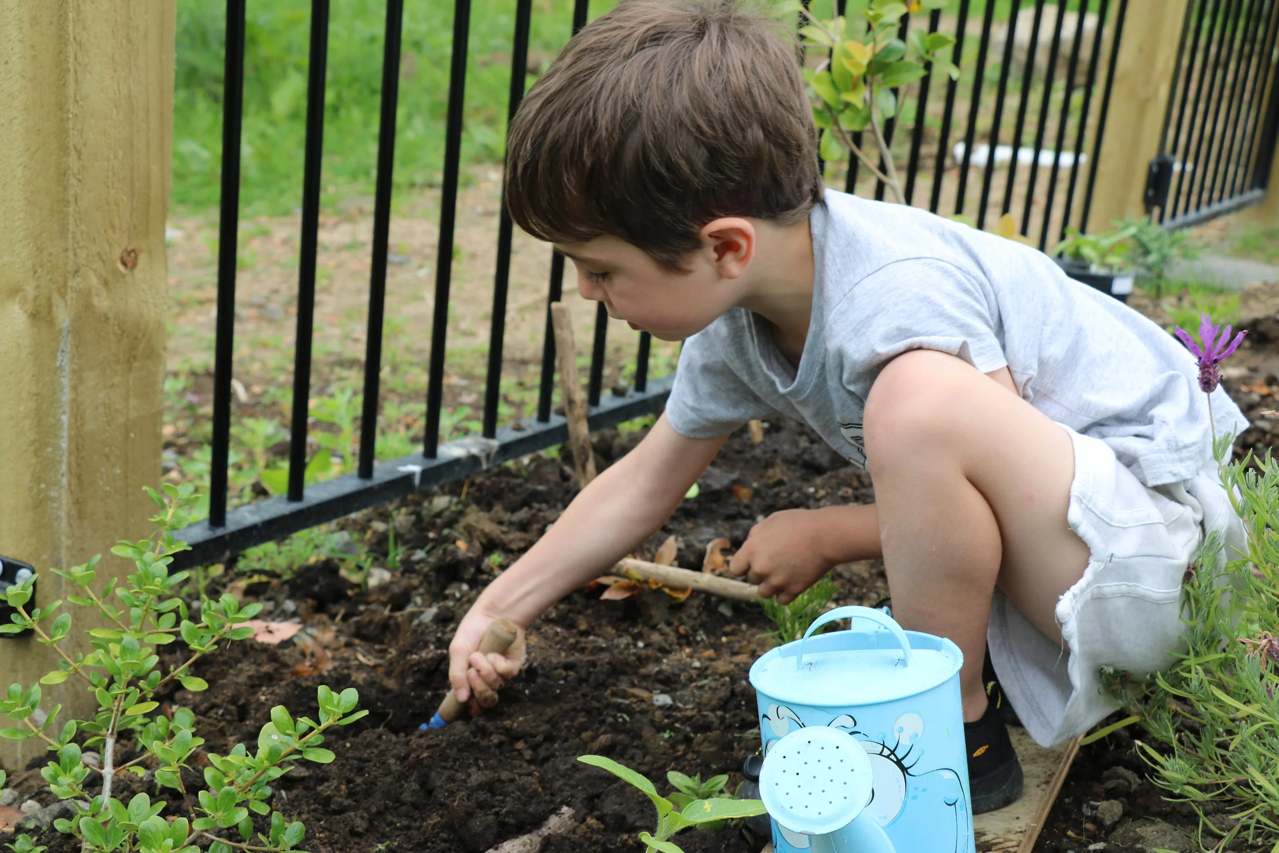 Nico working in the garden