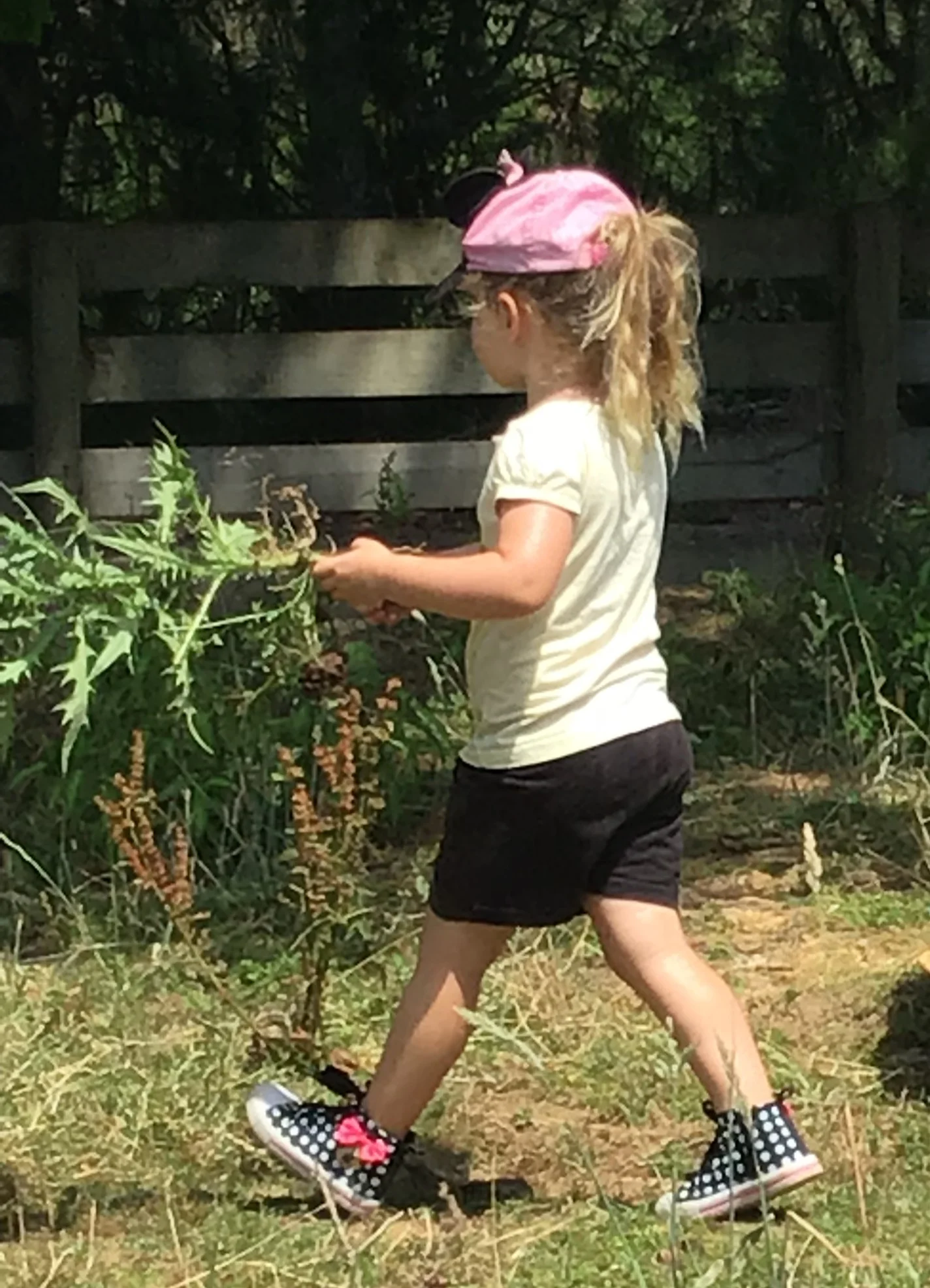 Prickle clean up - Ava.jpg