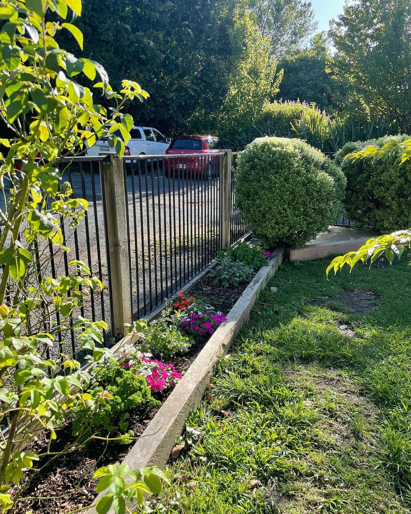 Nido Outdoor Area 🌸🌼🌺 we have planted eatable flowers and herbs for our under three to explore with.