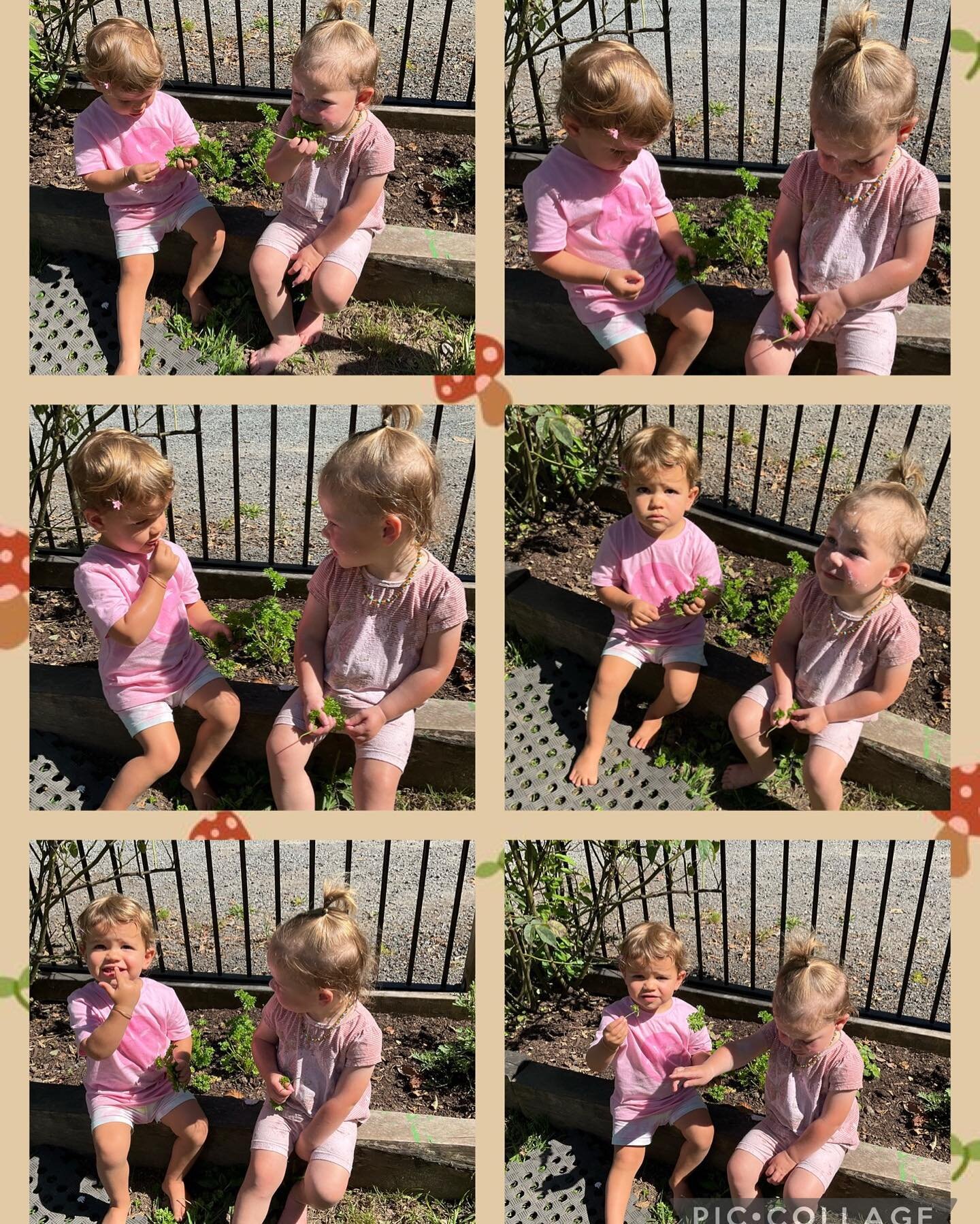 Friendships being made while enjoying our new eatable garden on a beautiful sunny day