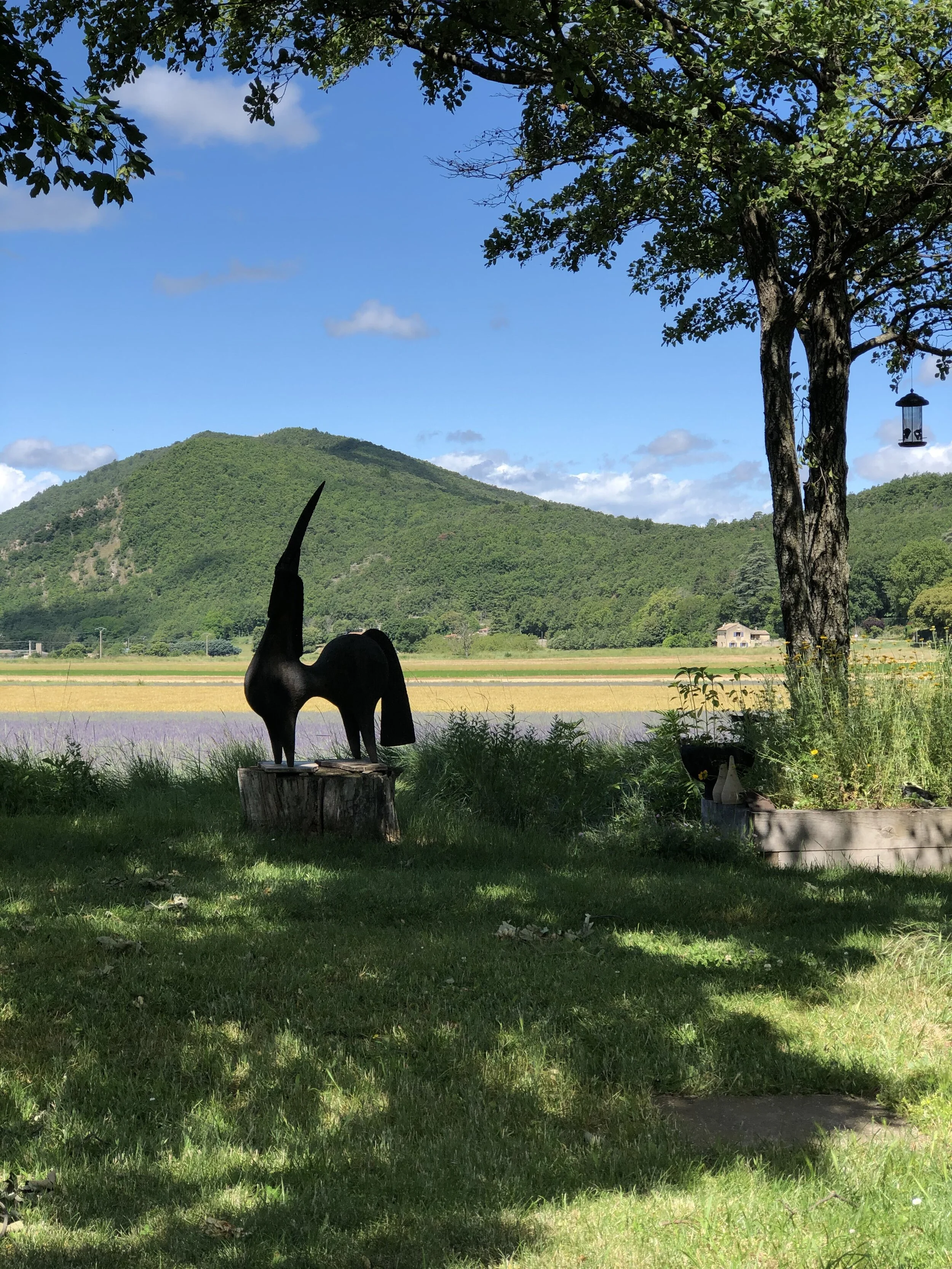 Aux détours des formes... Exposition personnelle de Dominique POUCHAIN en août!