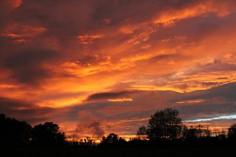 Farm Sunset.jpg