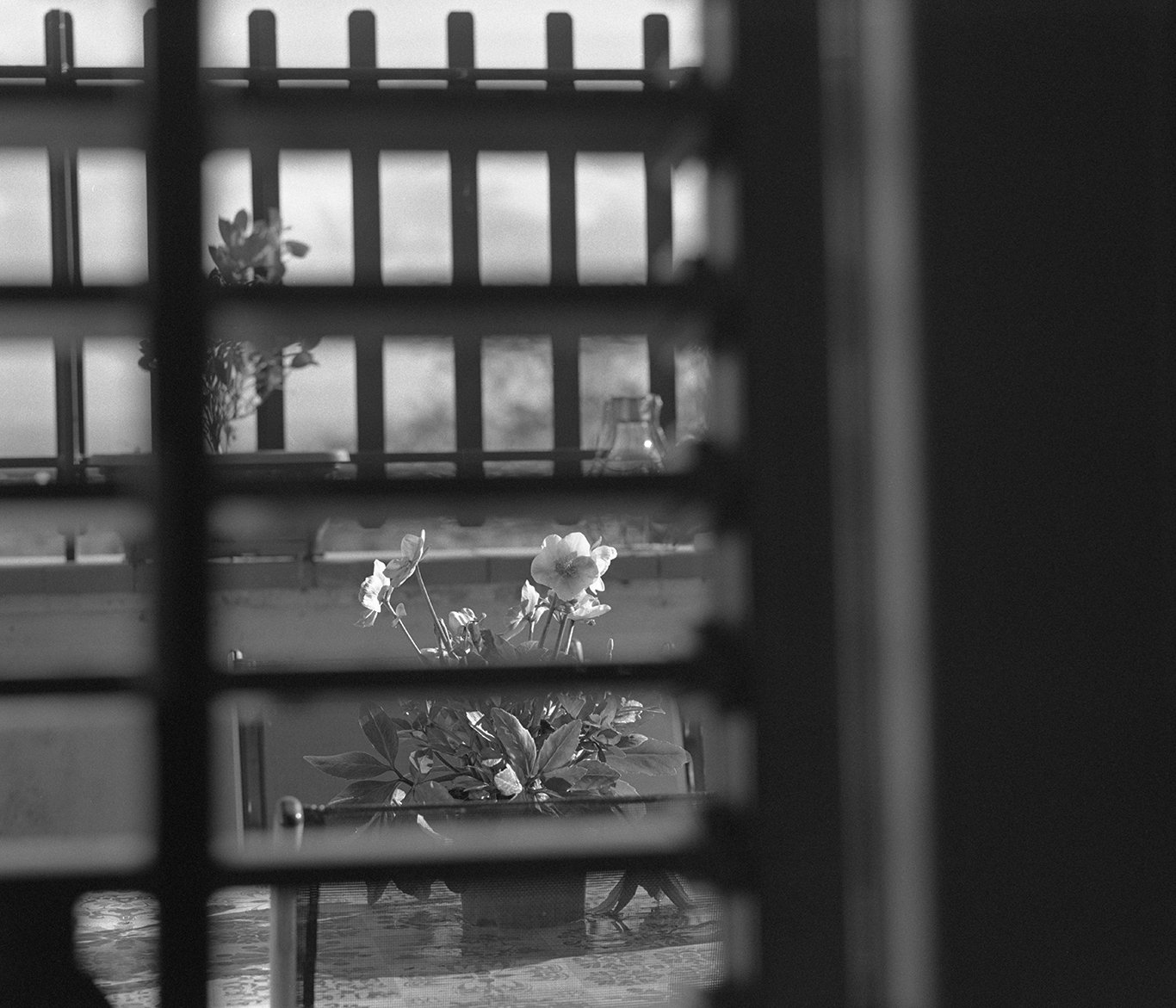 ENNUI-DECEMBER50 copy.jpg