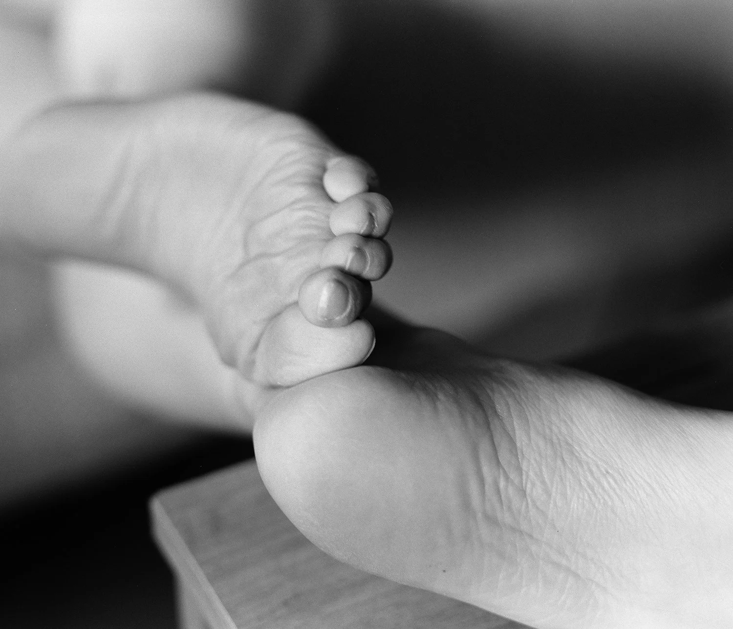 000013290001 copia.jpg